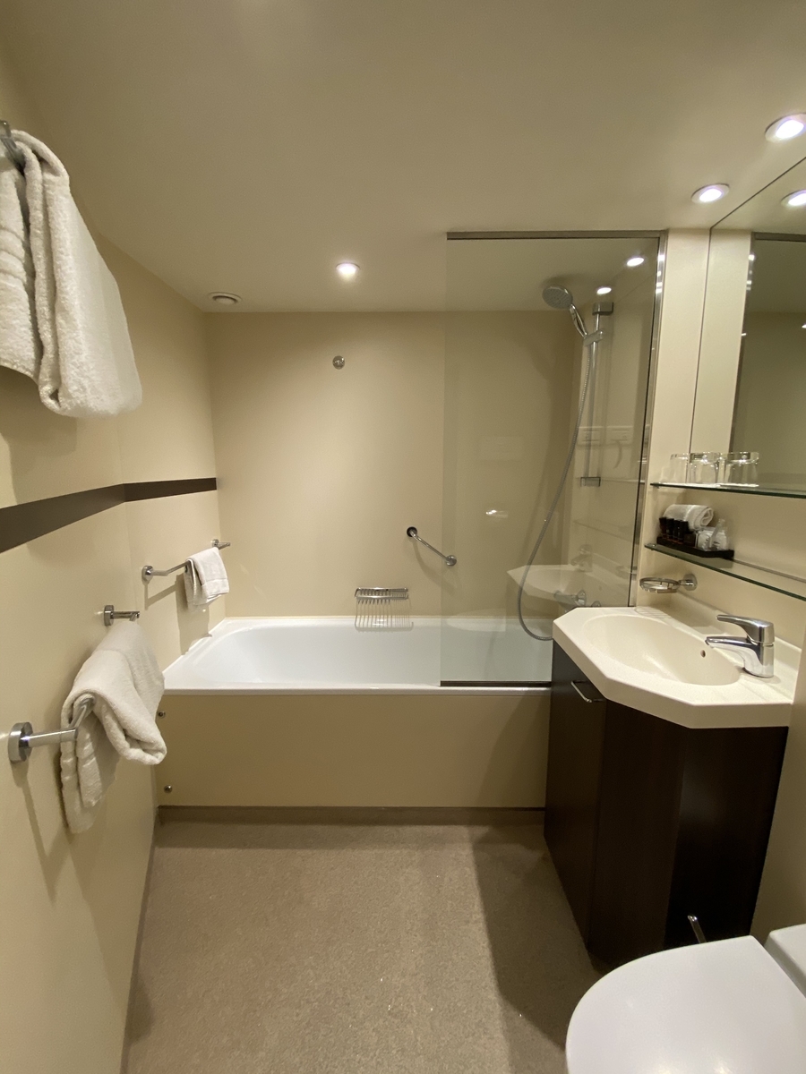 f:id:sapaia:20191120170952j:plain