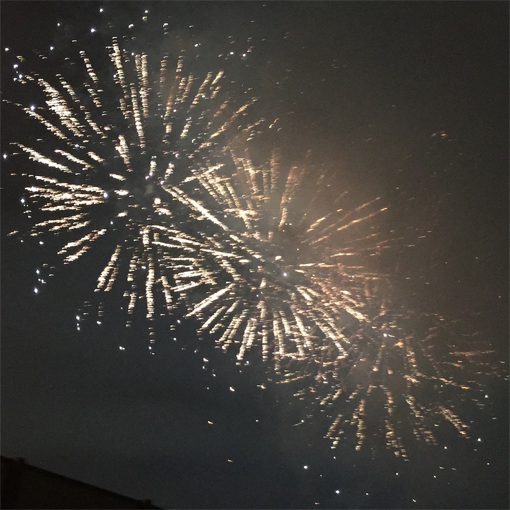 f:id:sapic:20160802201240j:image