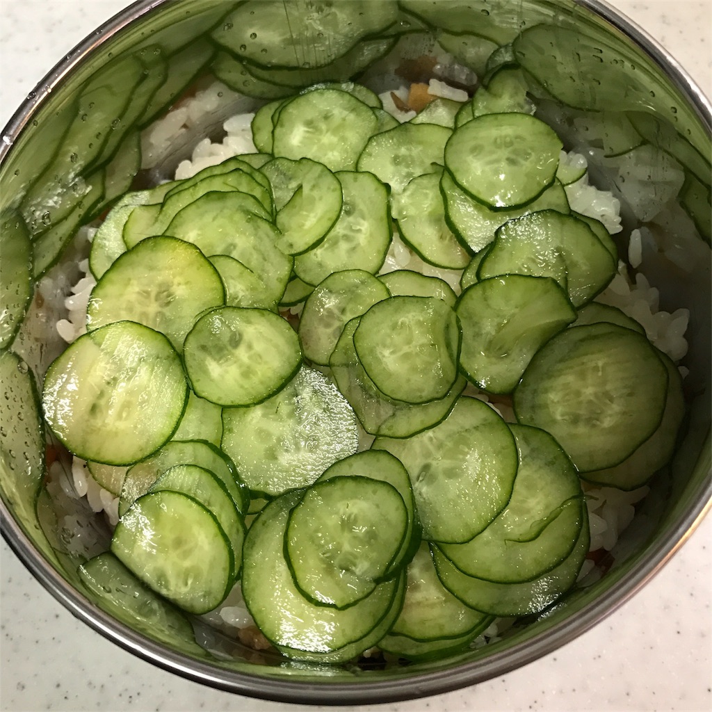 f:id:sapic:20170303204416j:image