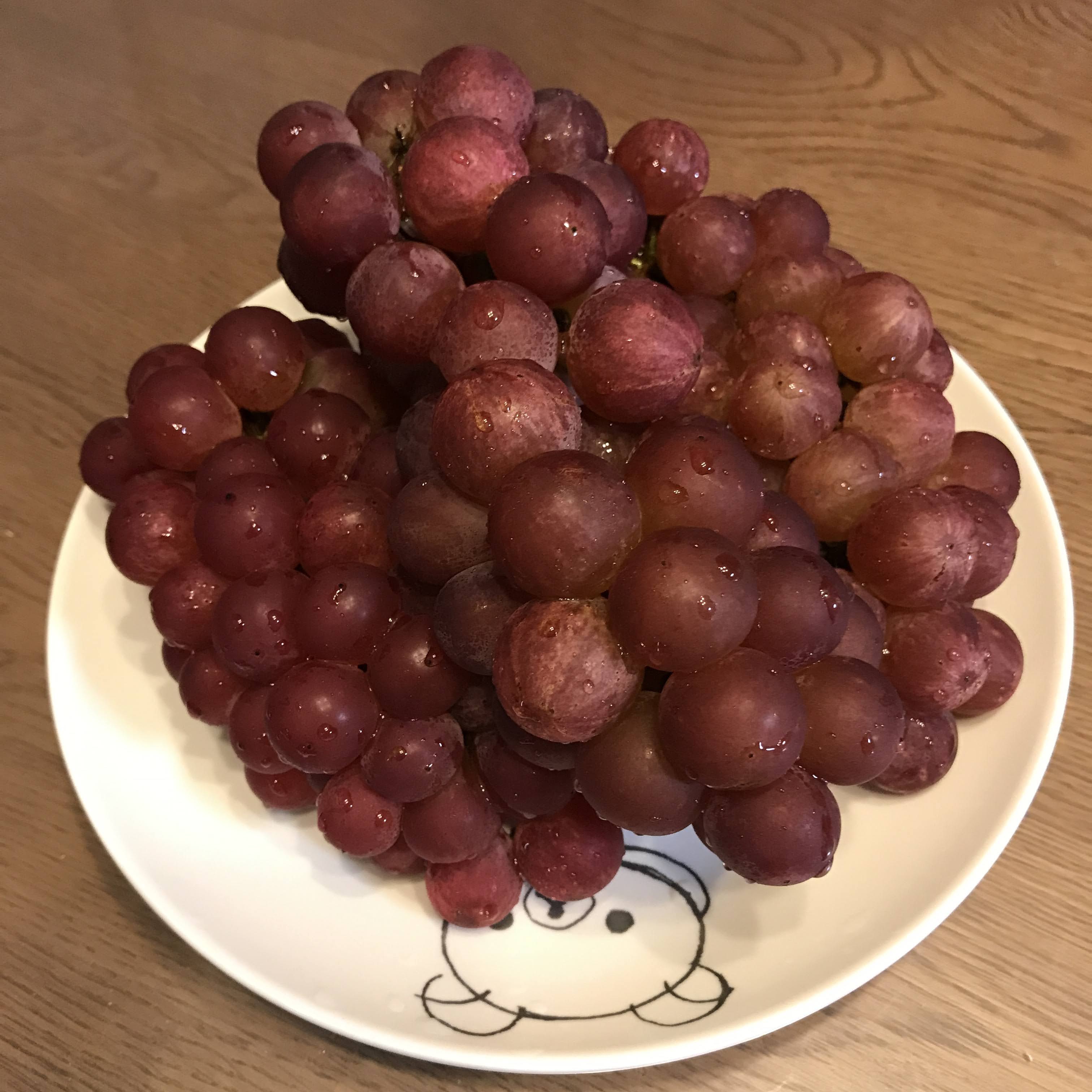 『旅路』は北海道の限られた場所でしかとれない美味しいぶどうです みんなたのしくすごせたら