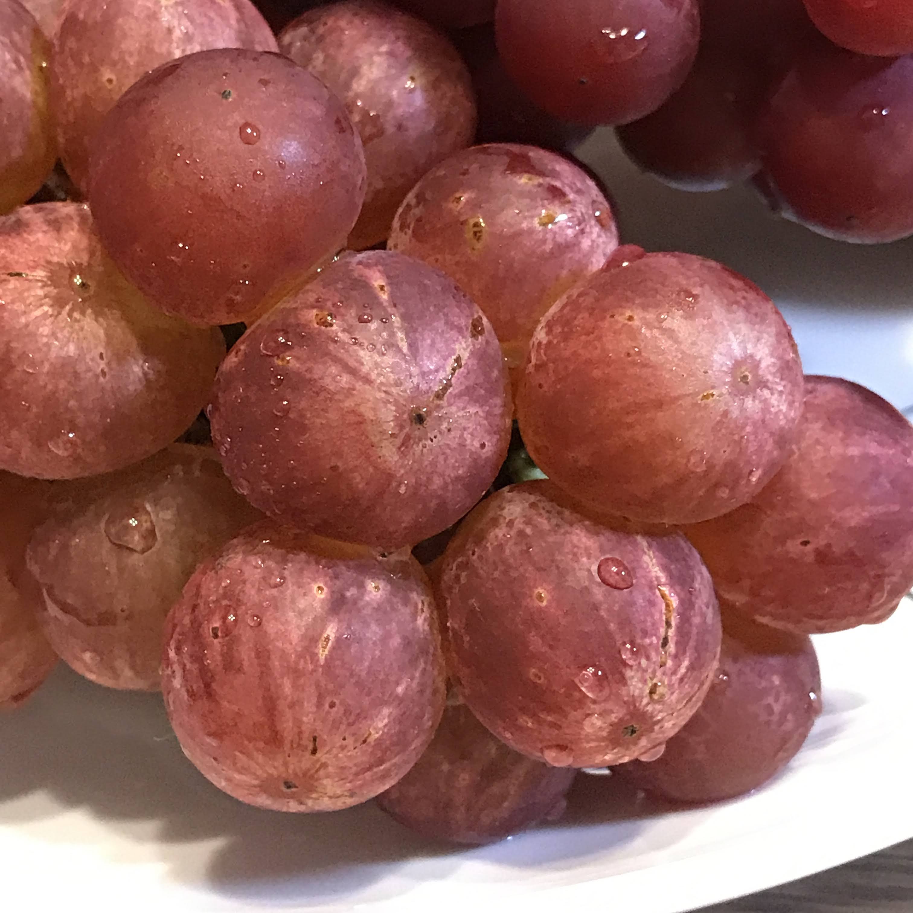 f:id:sapic:20201014153950j:plain