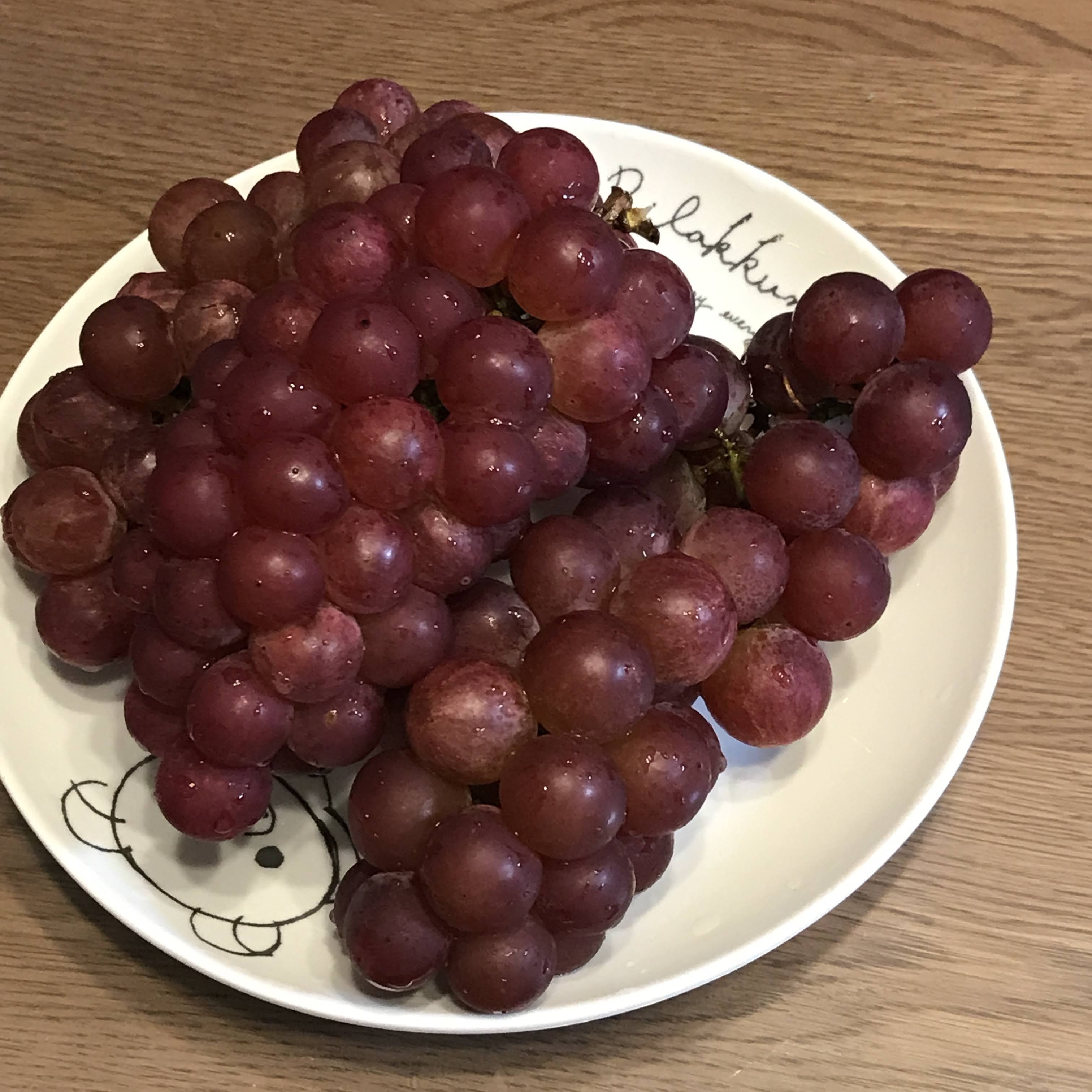 f:id:sapic:20201014154531j:plain