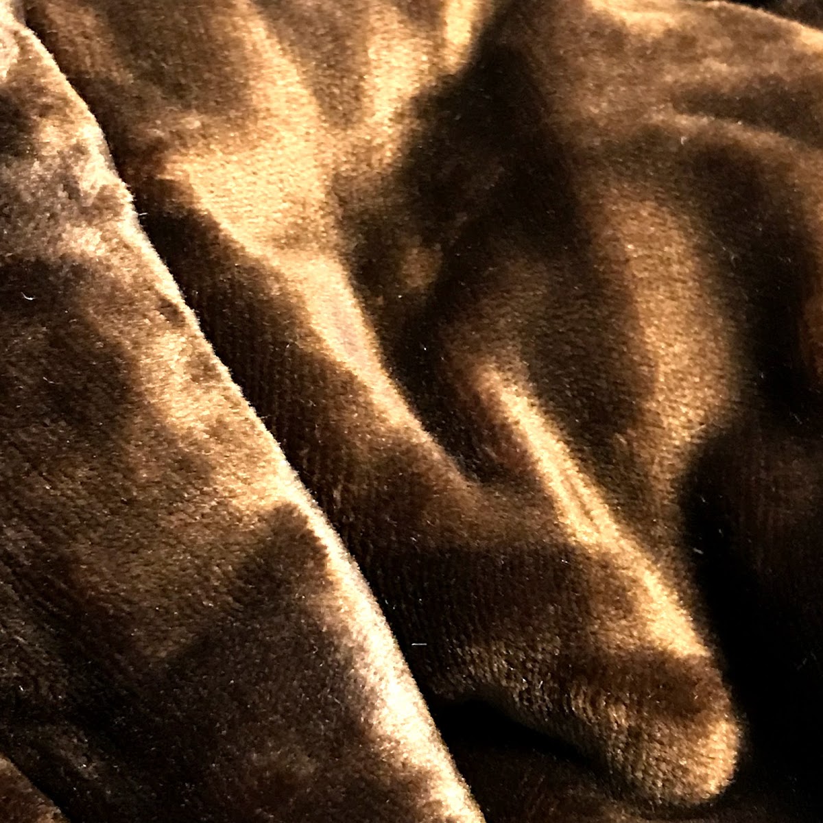 f:id:sapic:20201103224432j:plain
