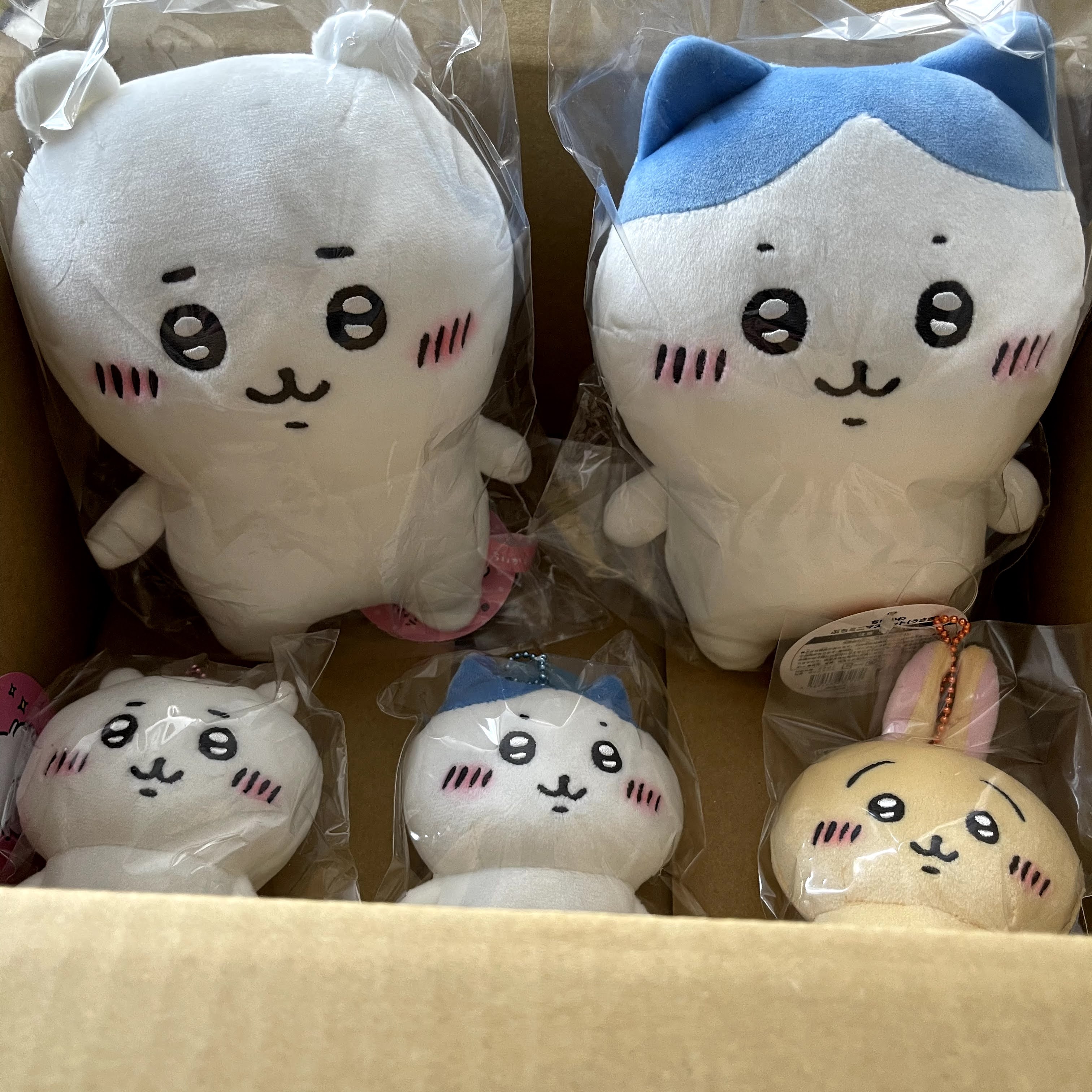 f:id:sapic:20210207205854j:plain