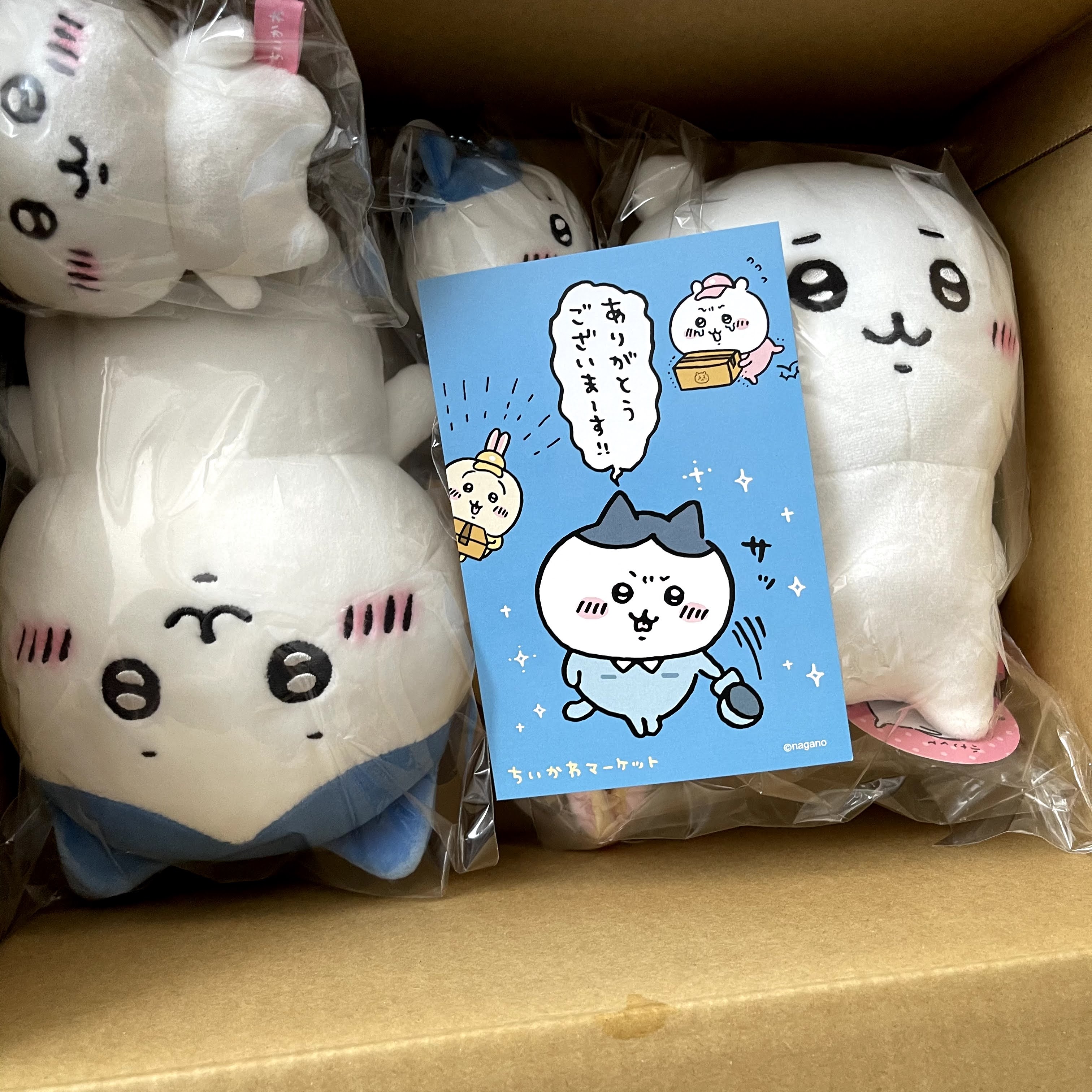 f:id:sapic:20210207205925j:plain