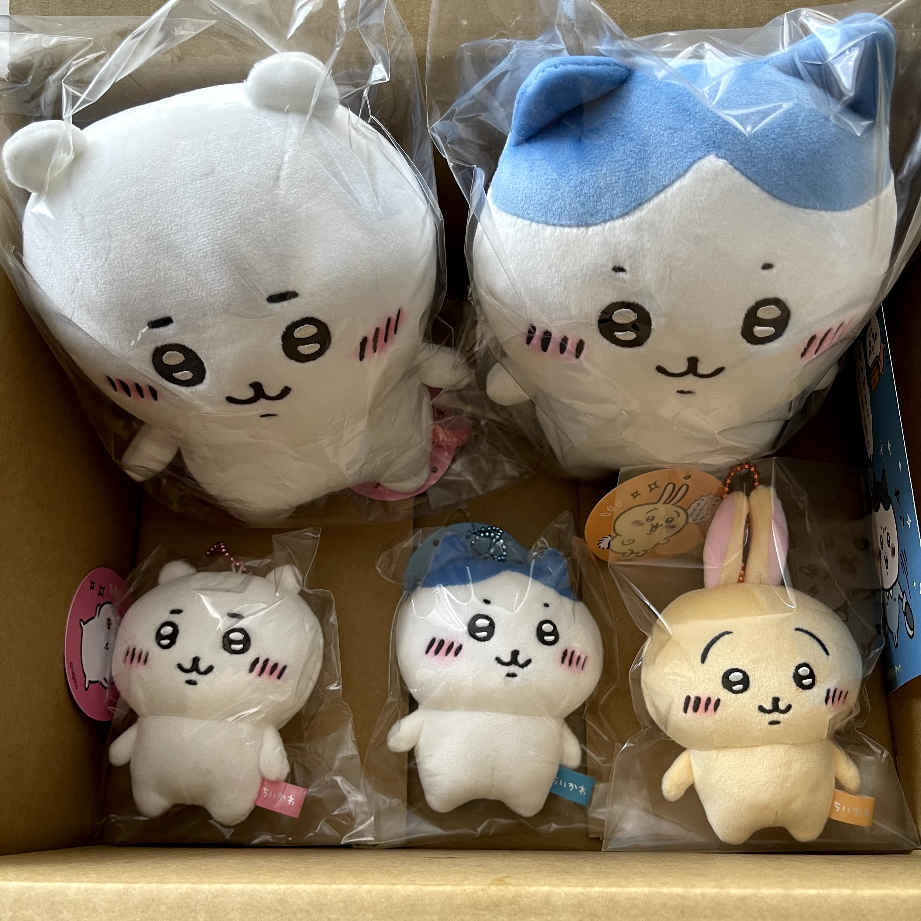 f:id:sapic:20210207210715j:plain