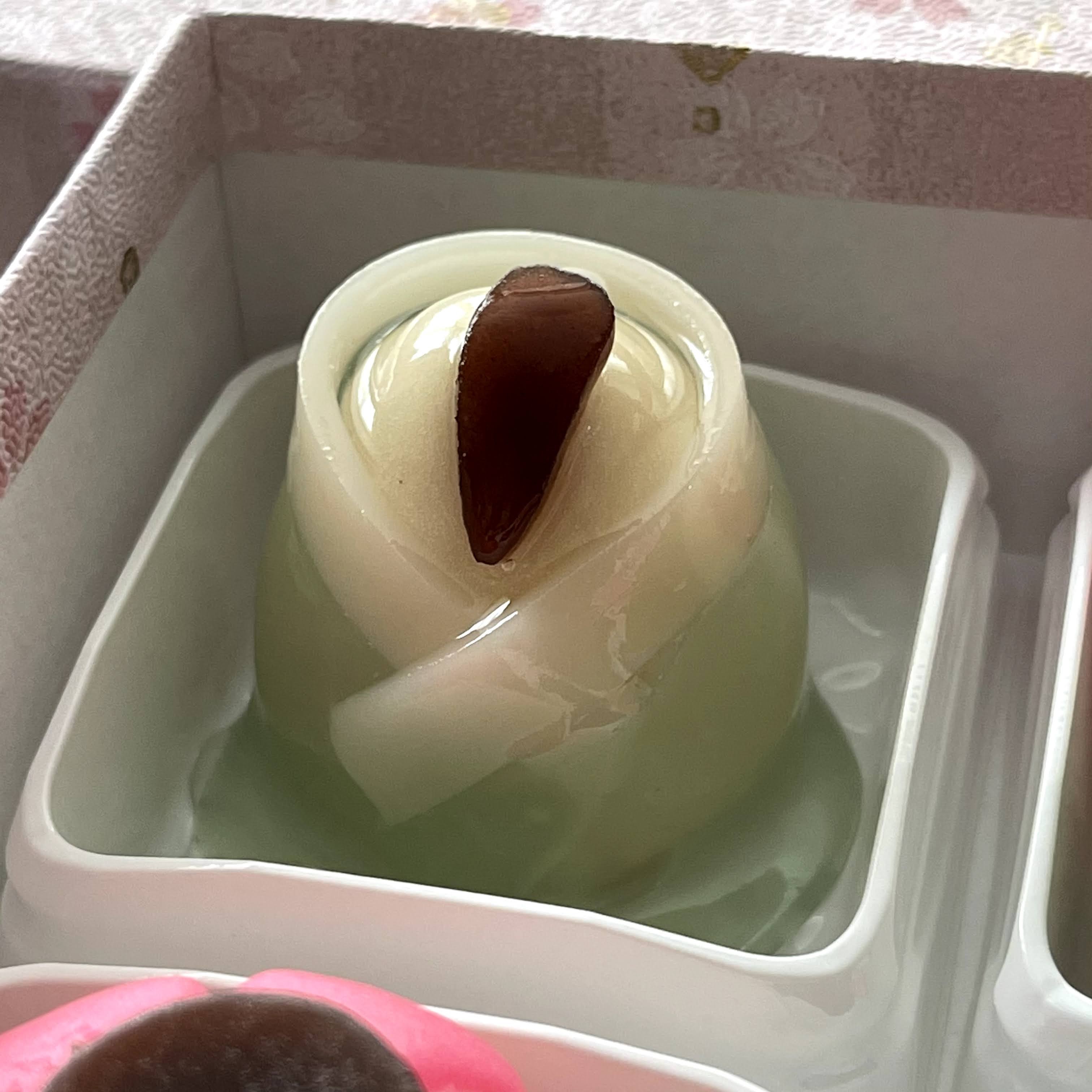 f:id:sapic:20210228213220j:plain