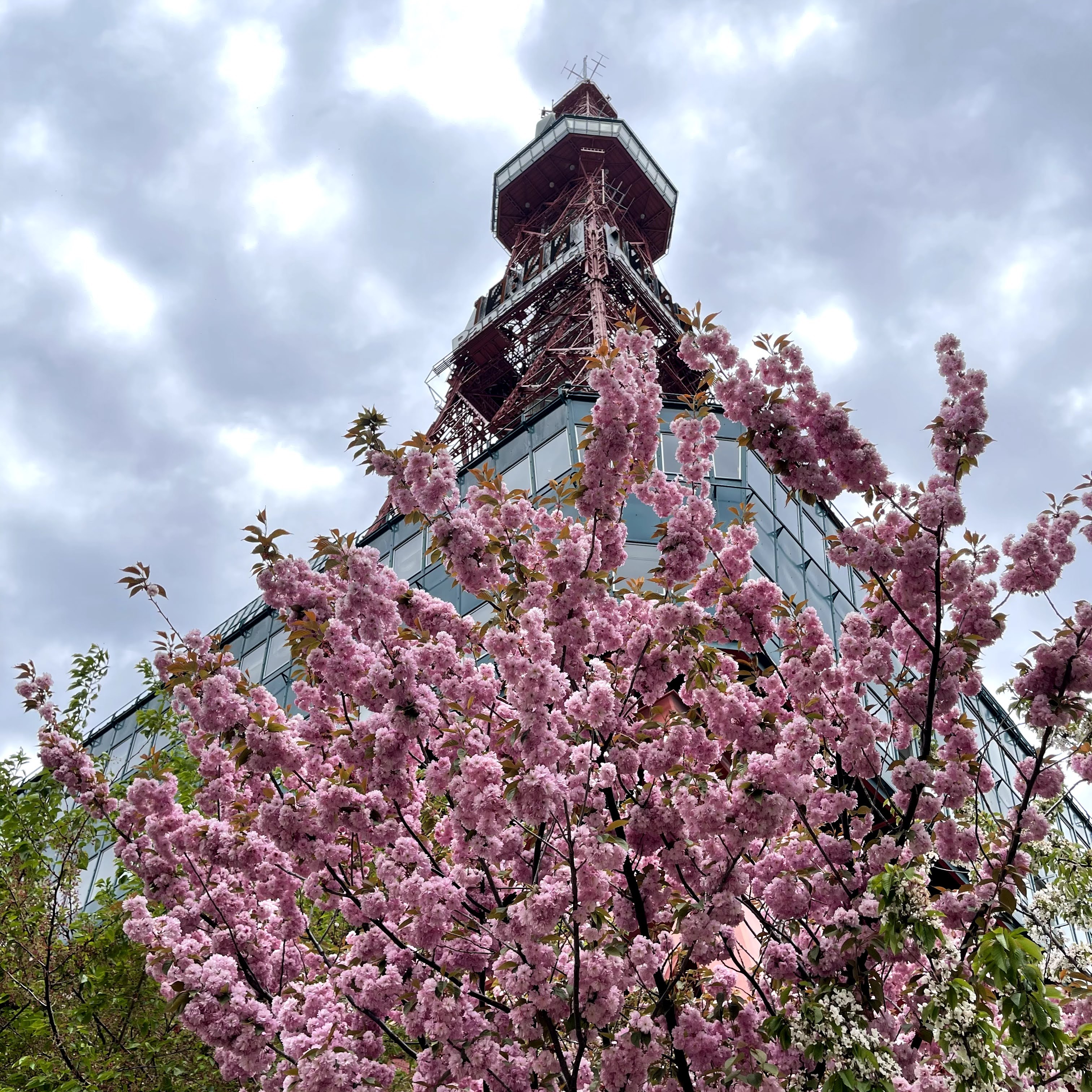 f:id:sapic:20210515223812j:plain