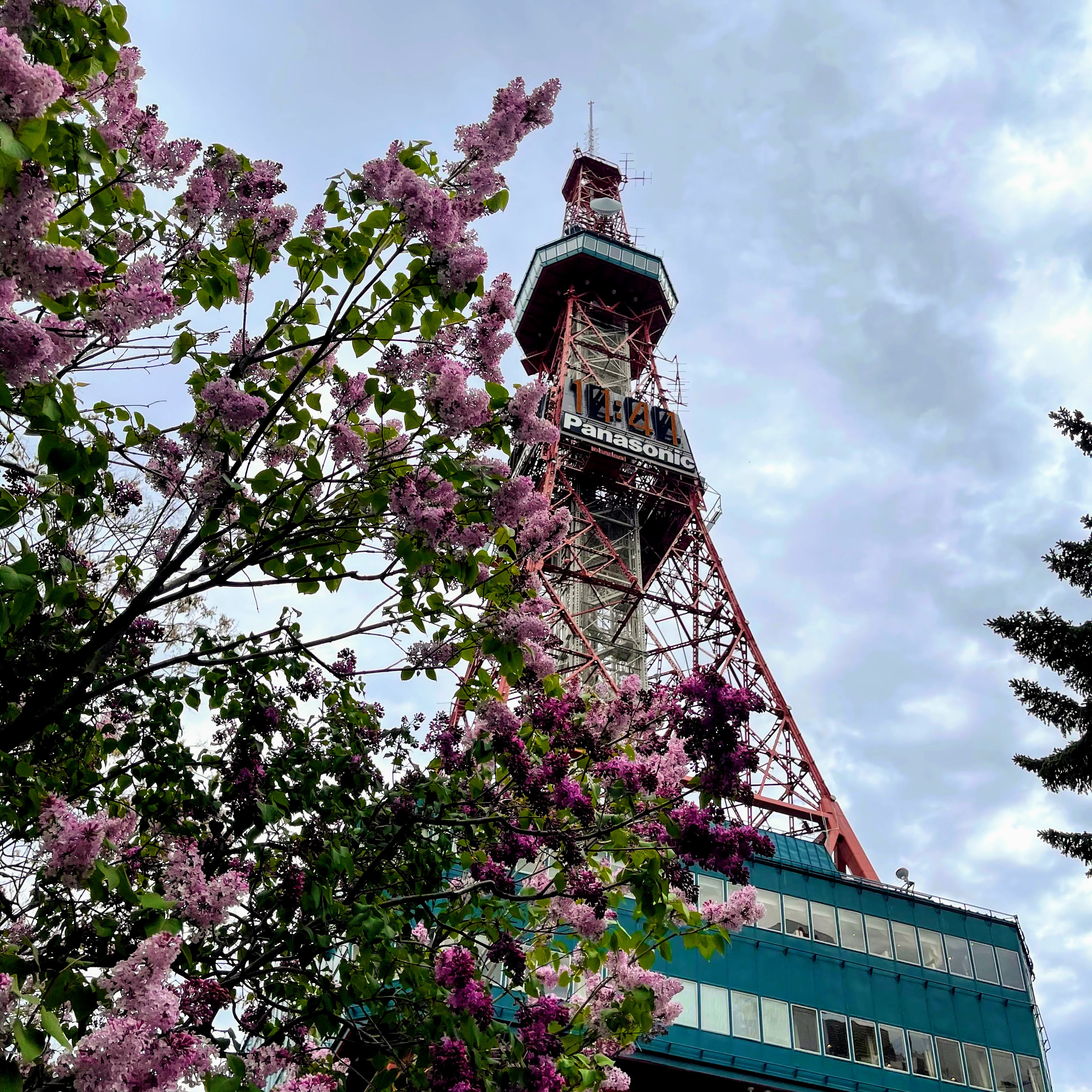 f:id:sapic:20210515224148j:plain