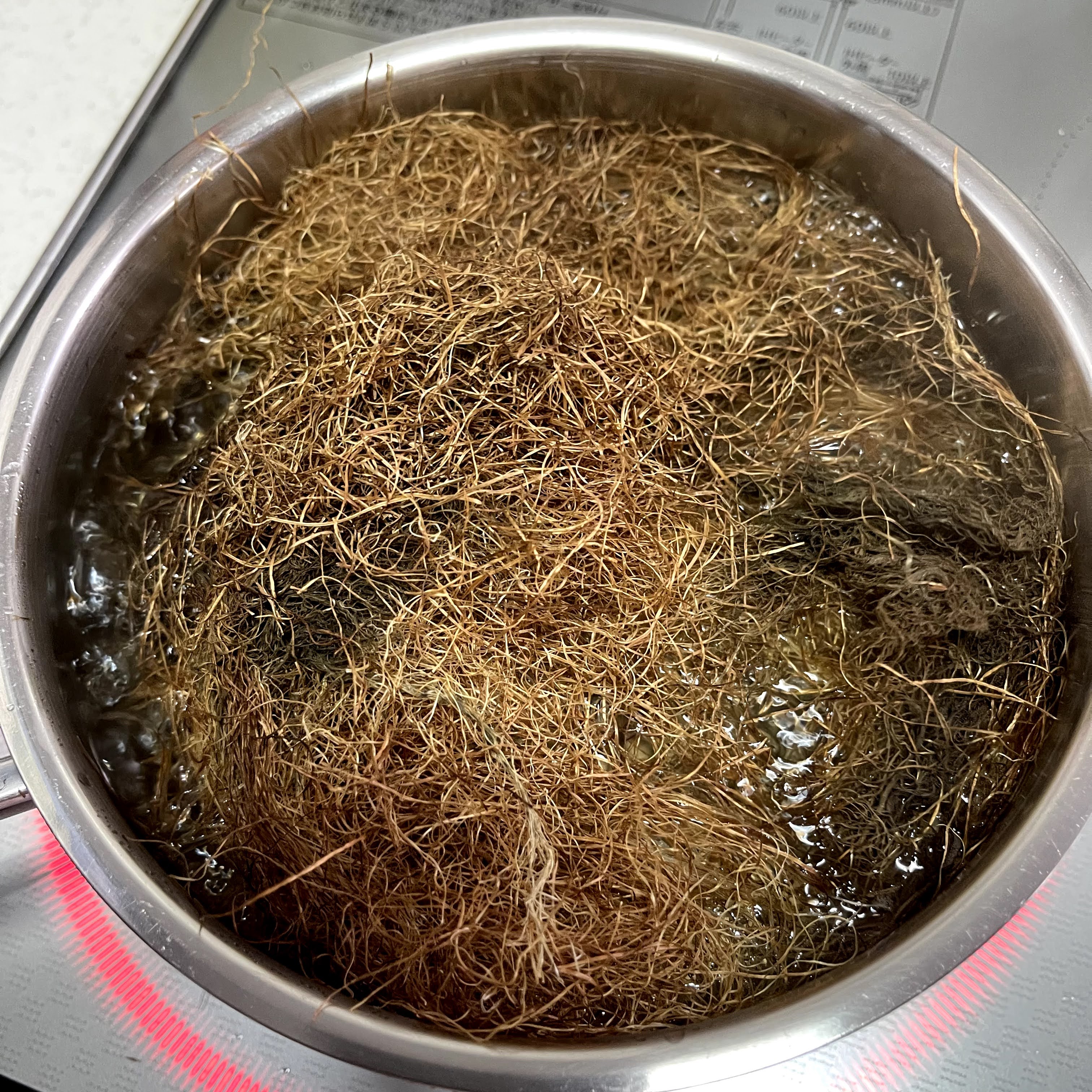 f:id:sapic:20210703214845j:plain