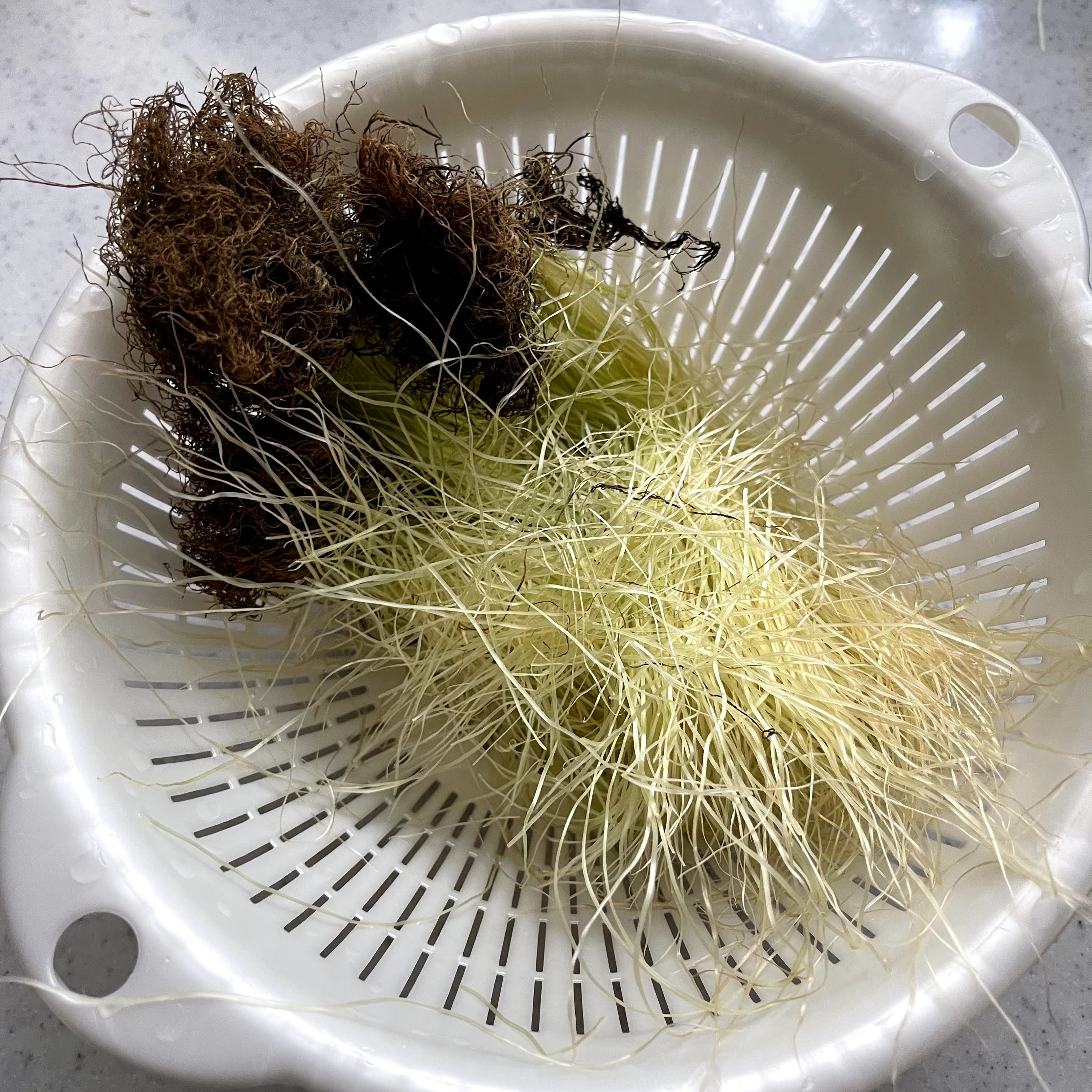 f:id:sapic:20210703215539j:plain