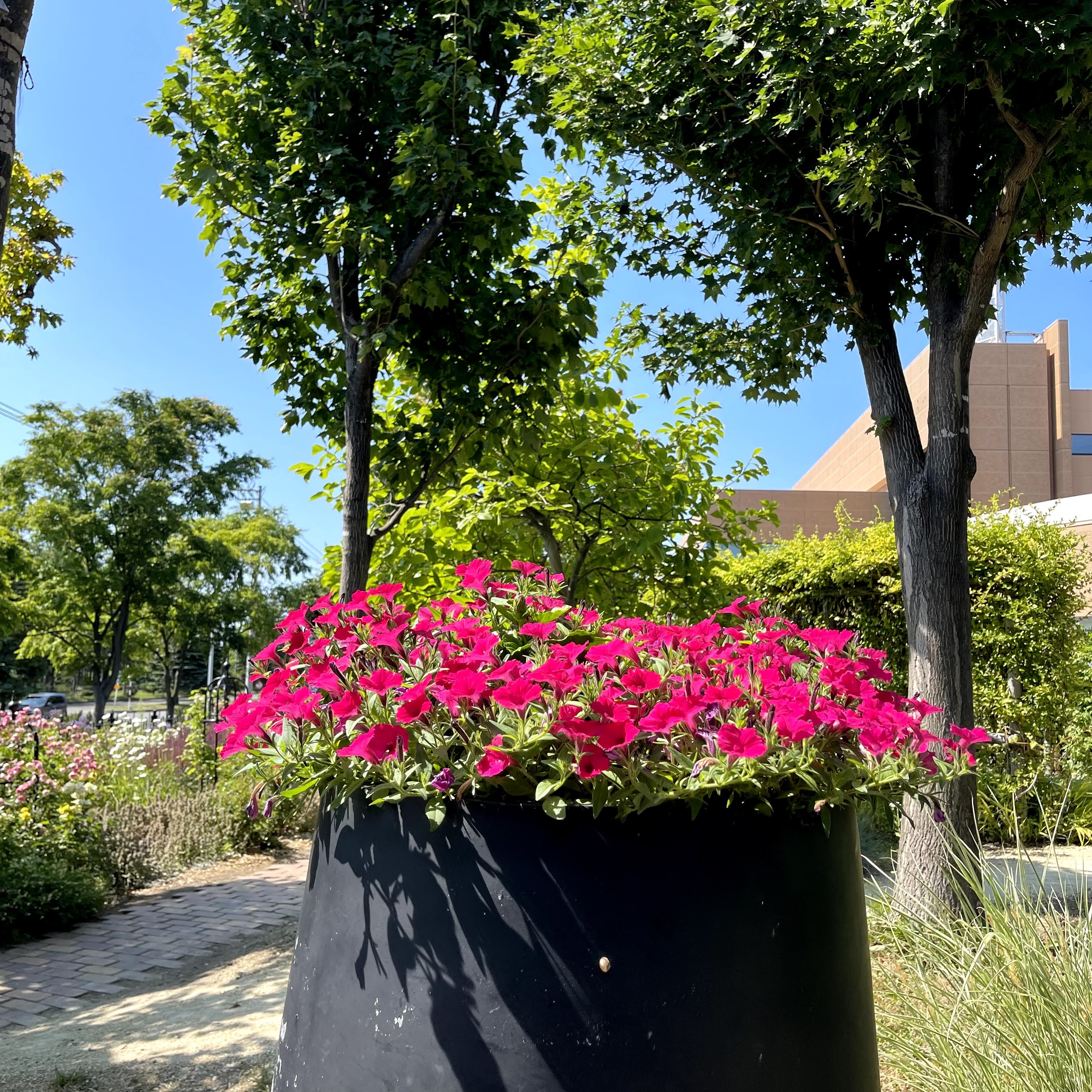 f:id:sapic:20210720203623j:plain