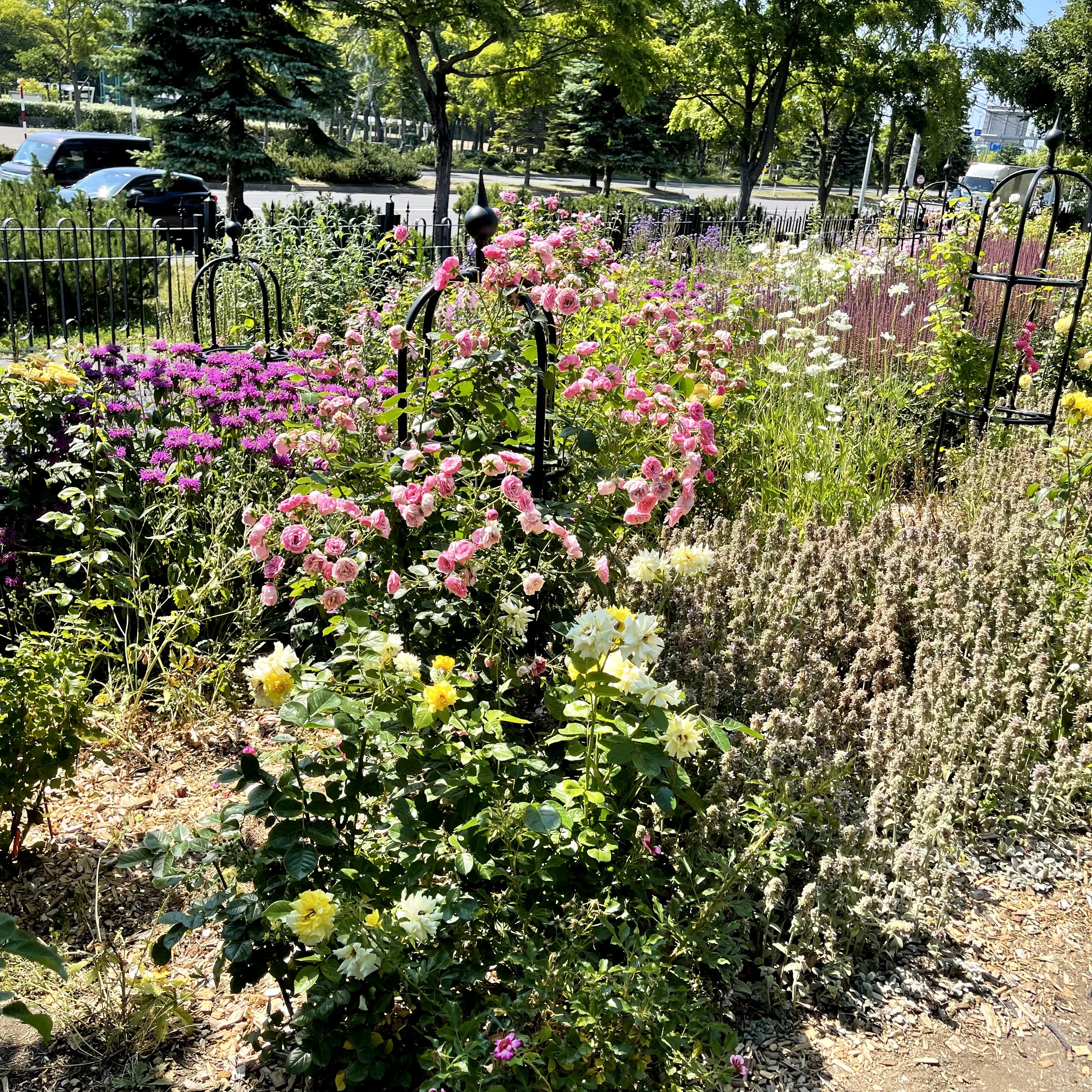 f:id:sapic:20210720203641j:plain