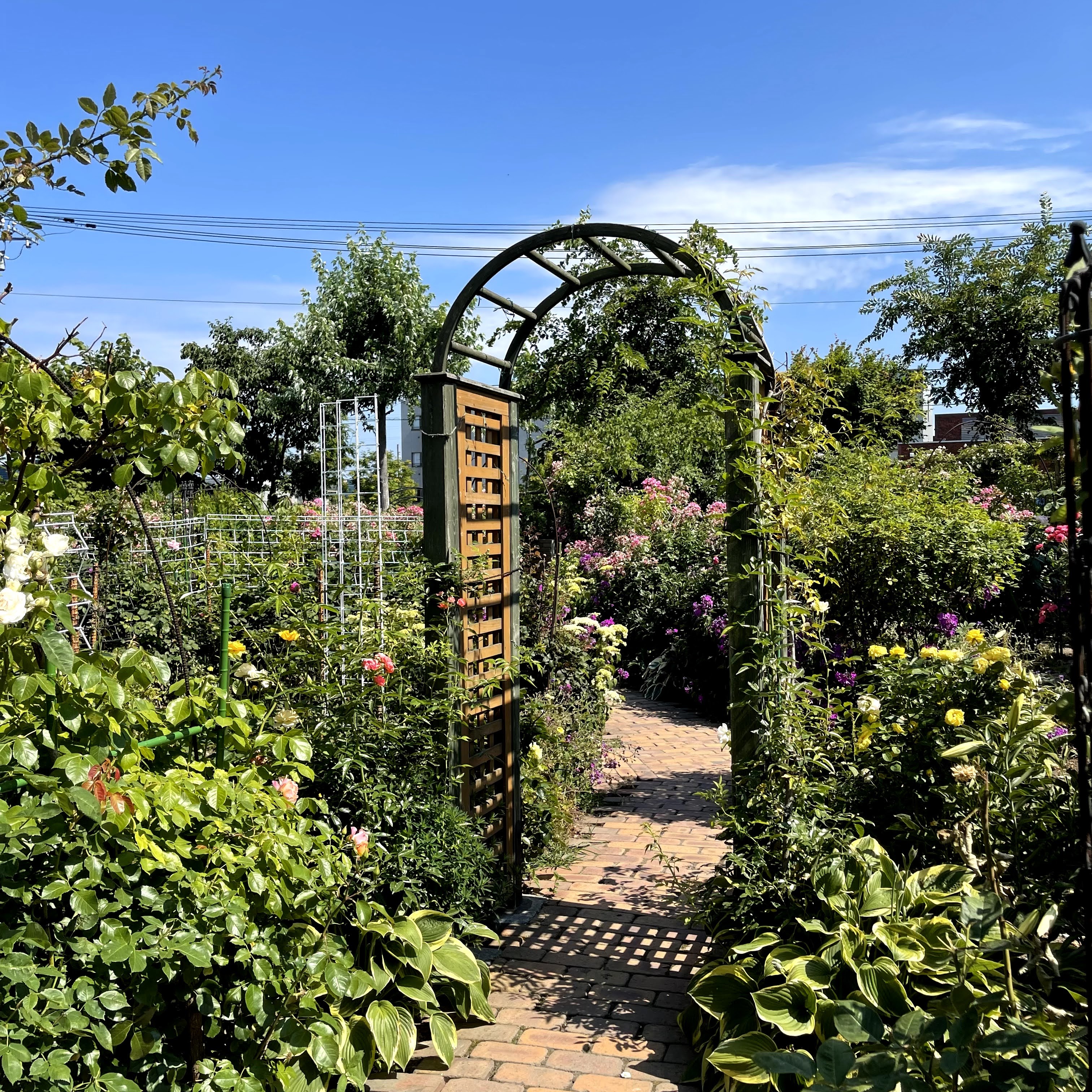 f:id:sapic:20210720203735j:plain