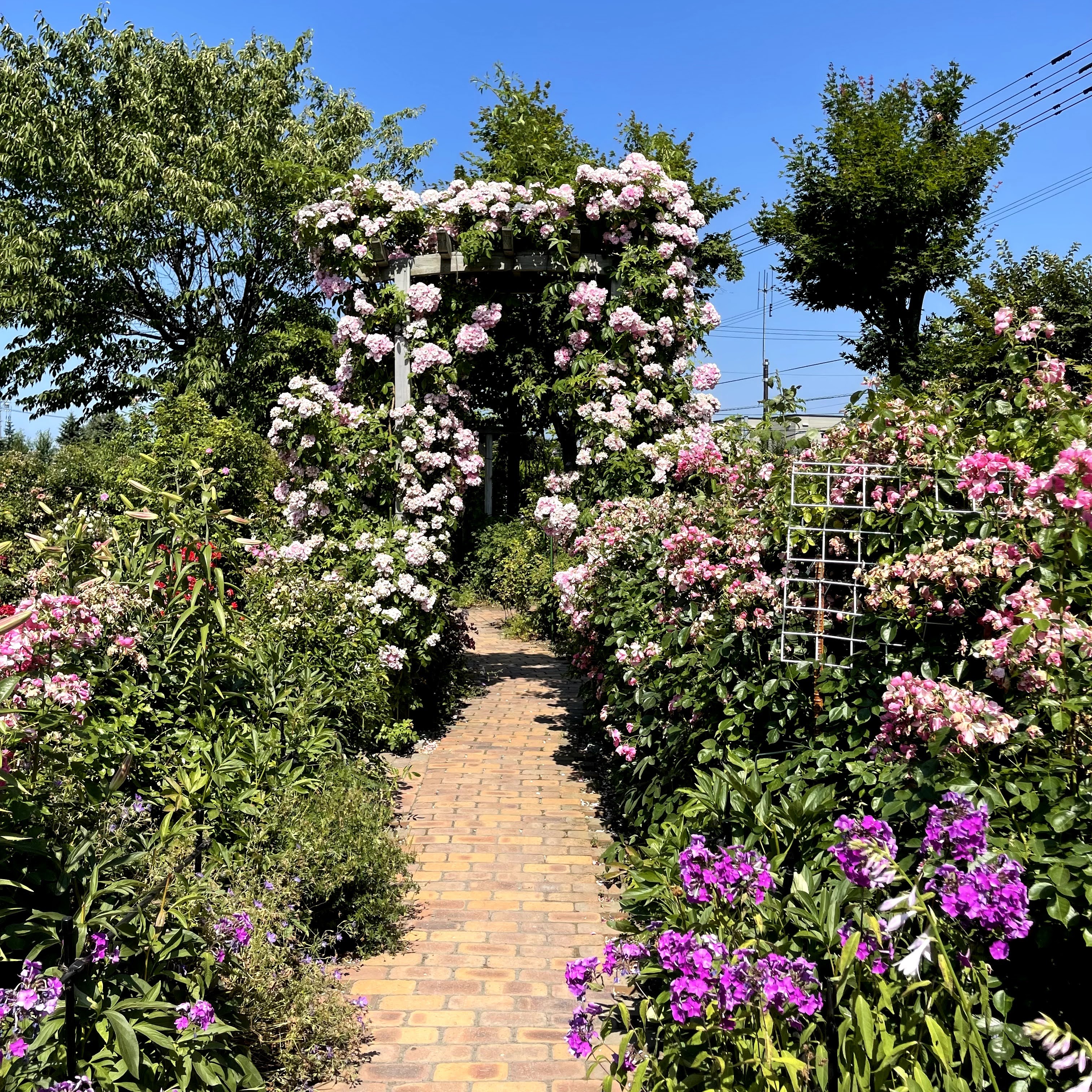 f:id:sapic:20210720204550j:plain