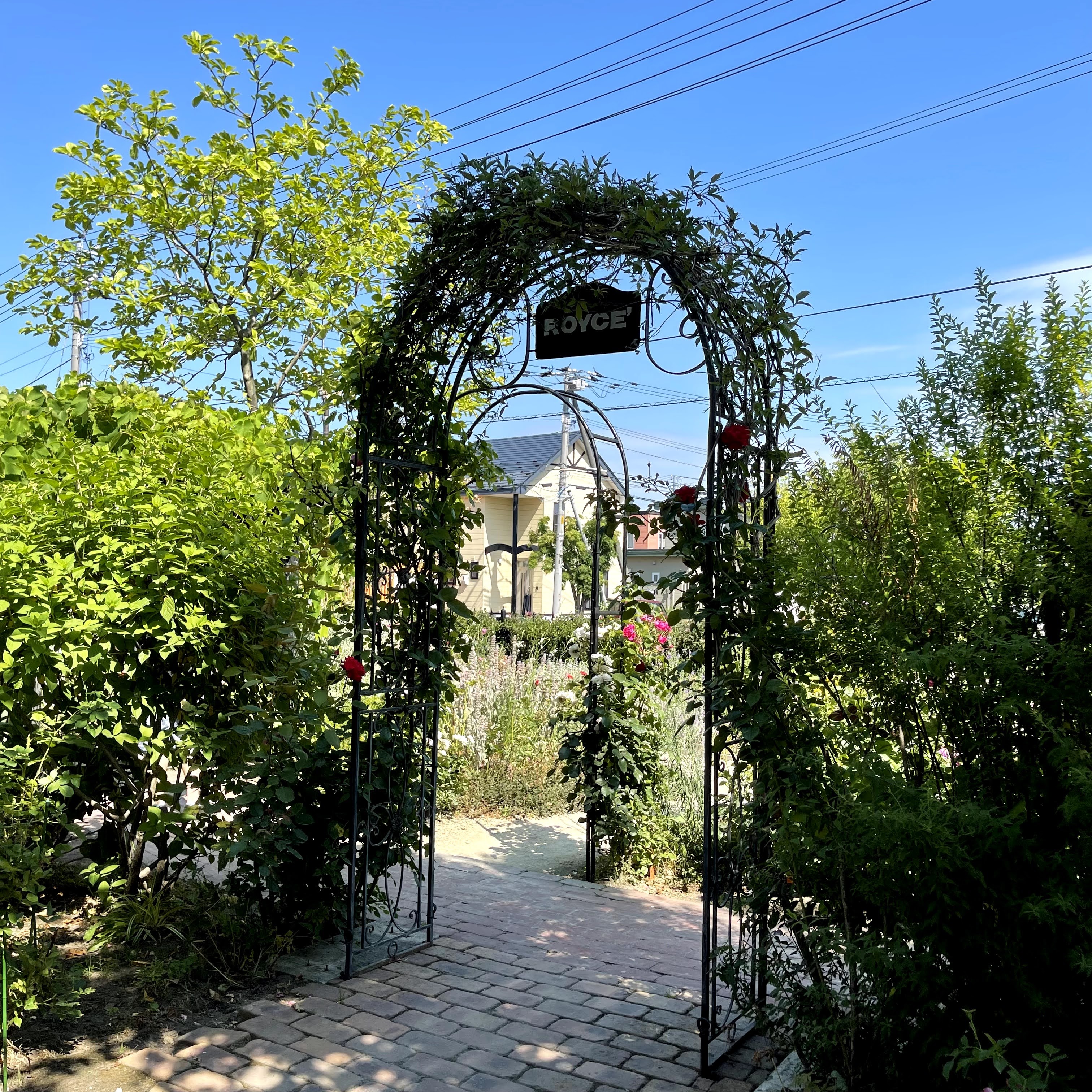 f:id:sapic:20210720204615j:plain