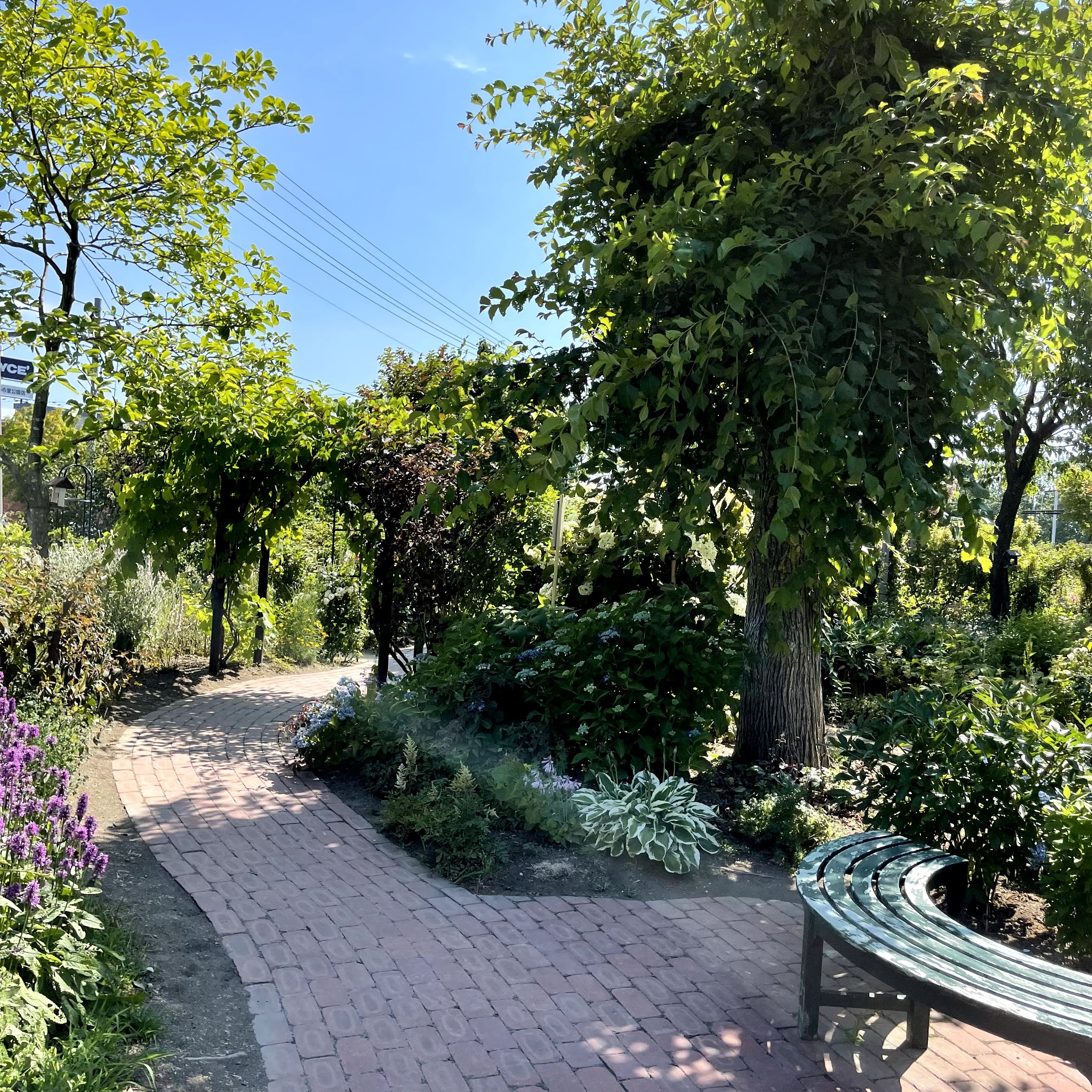 f:id:sapic:20210720204648j:plain