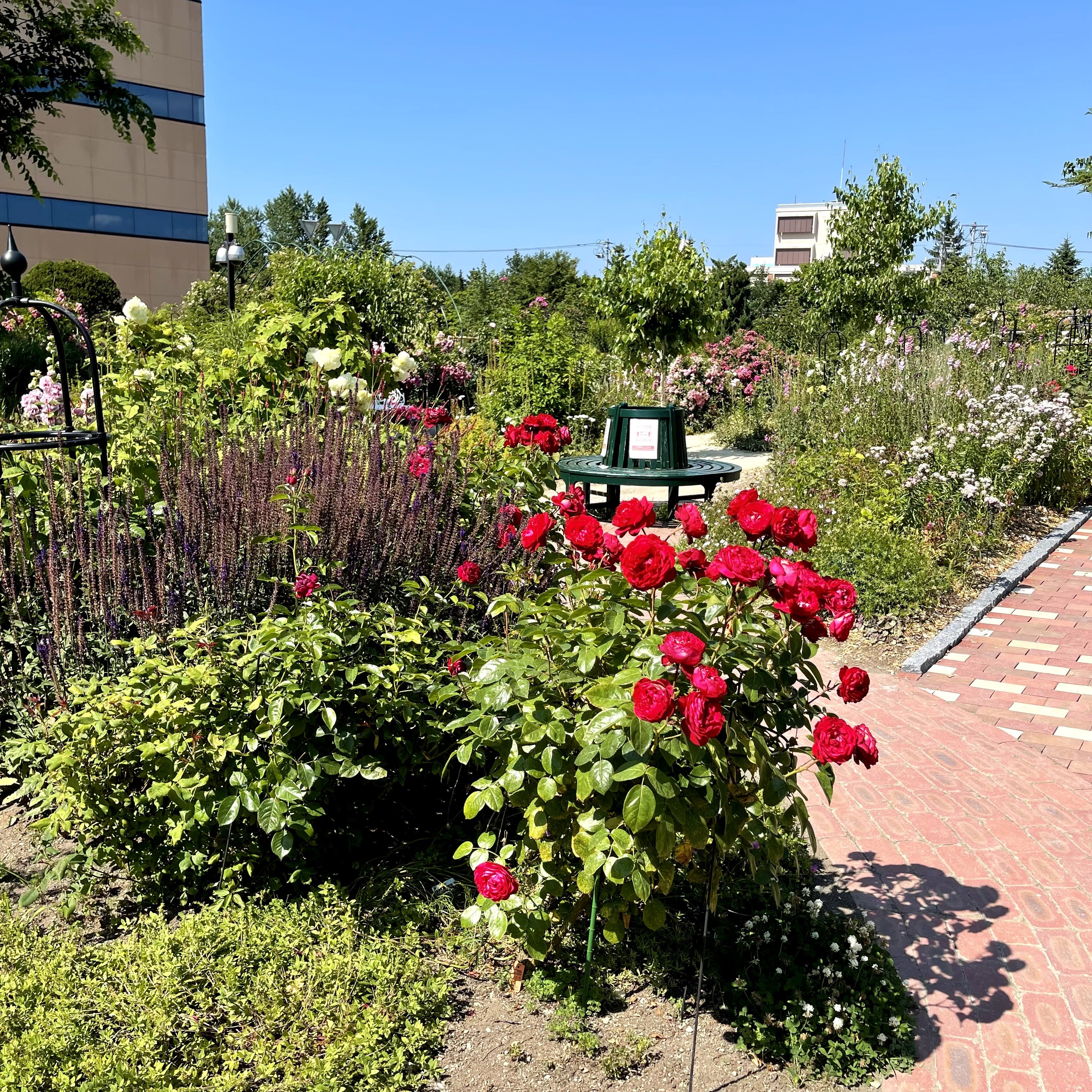 f:id:sapic:20210720204710j:plain