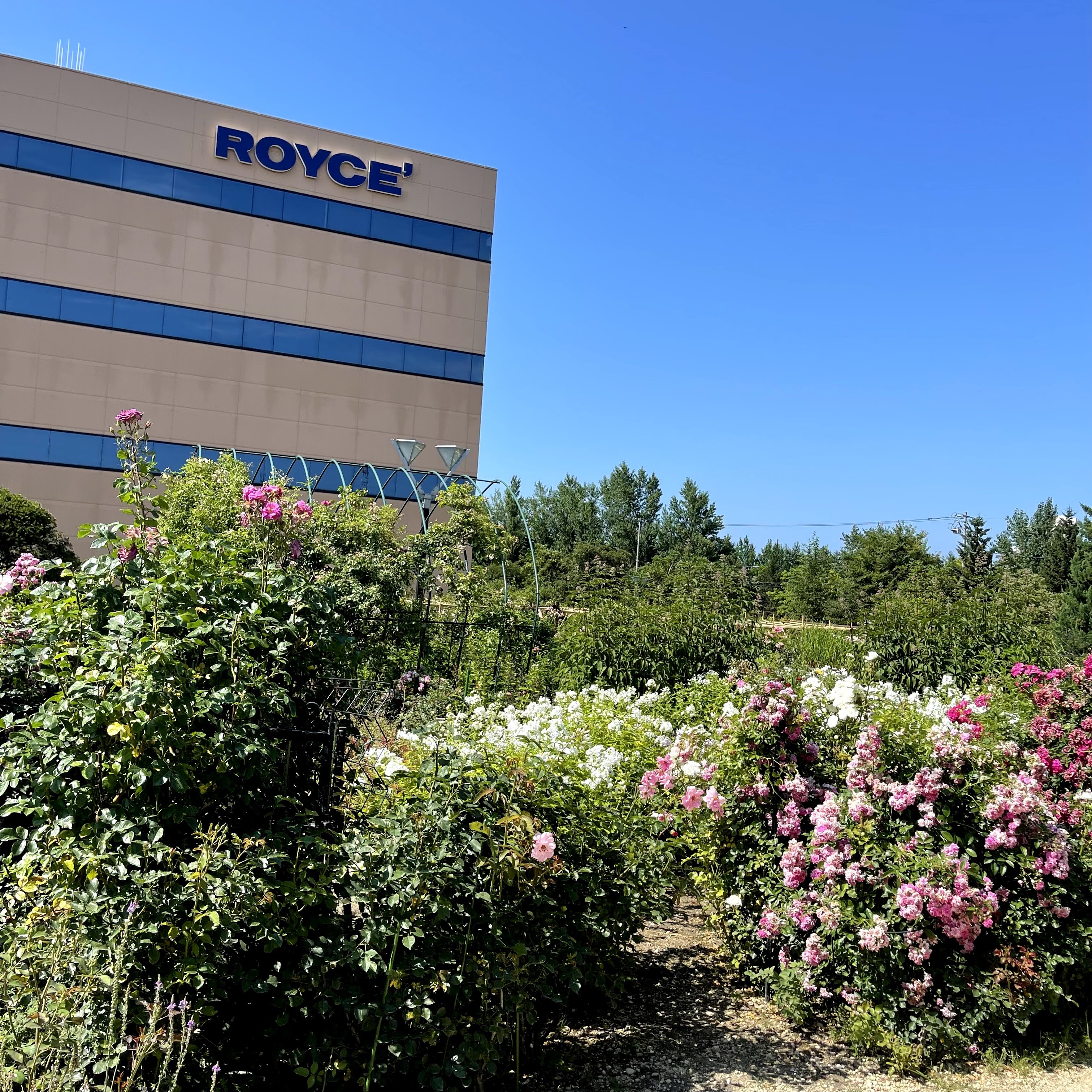 f:id:sapic:20210720204727j:plain