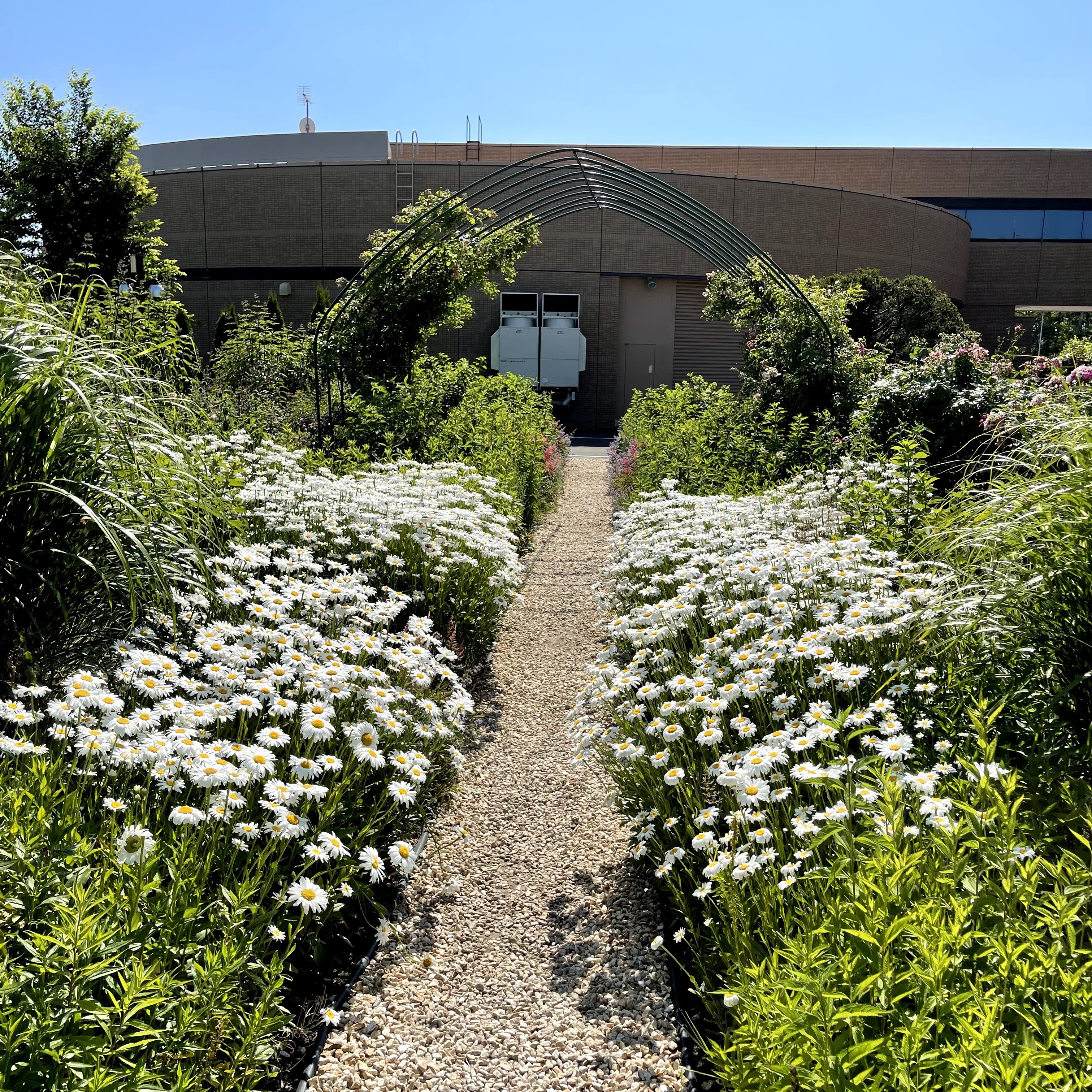 f:id:sapic:20210720204755j:plain