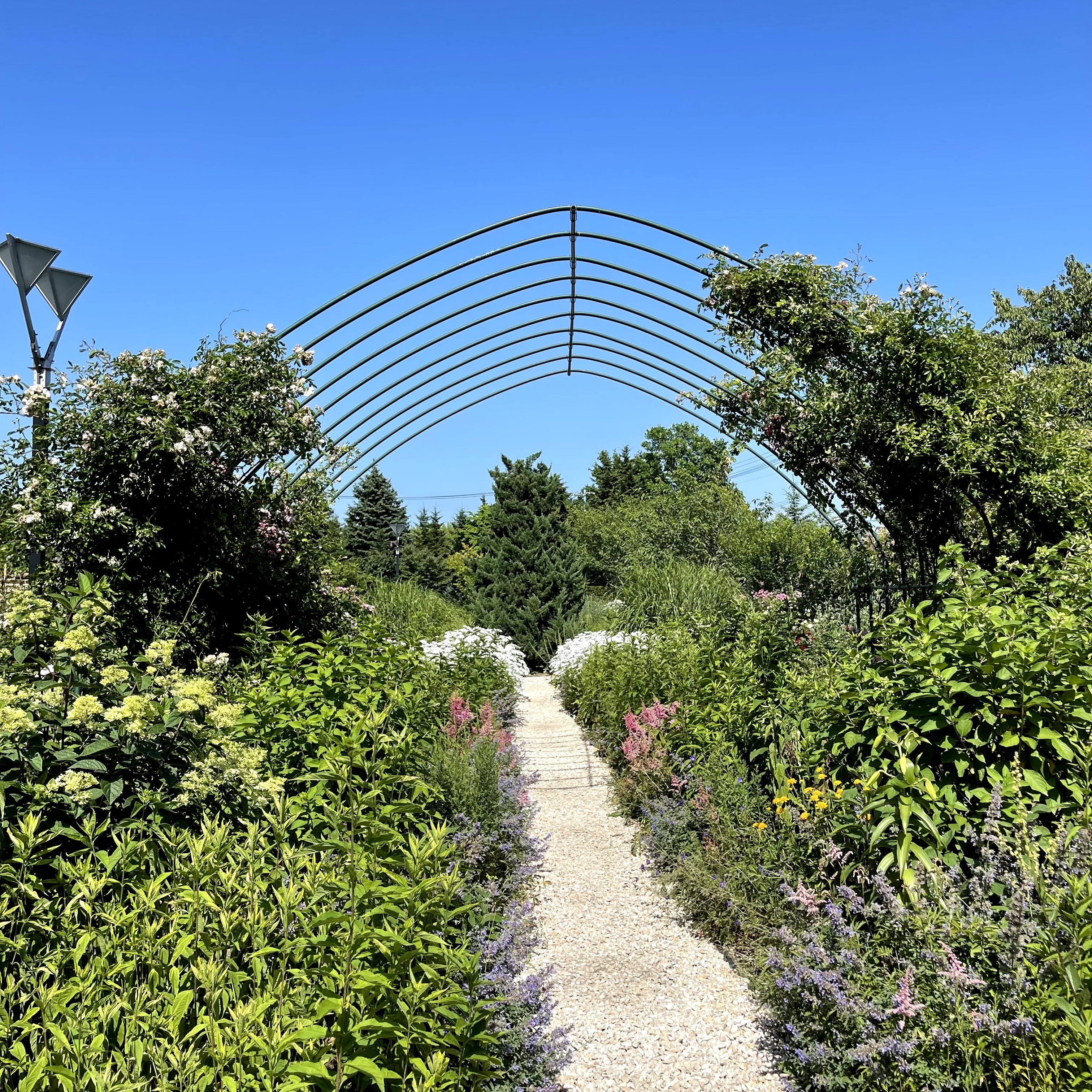 f:id:sapic:20210720204823j:plain