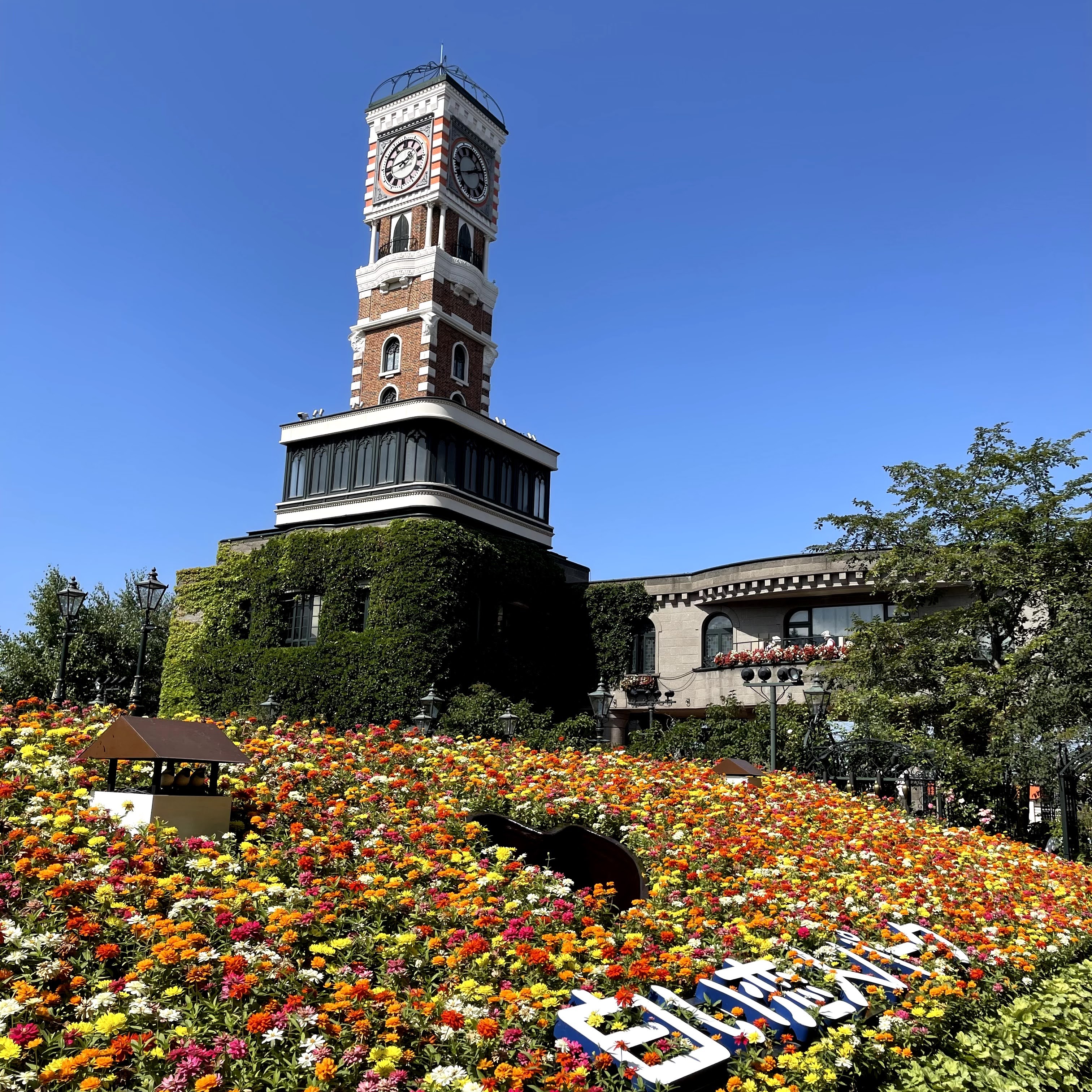 f:id:sapic:20210814221551j:plain