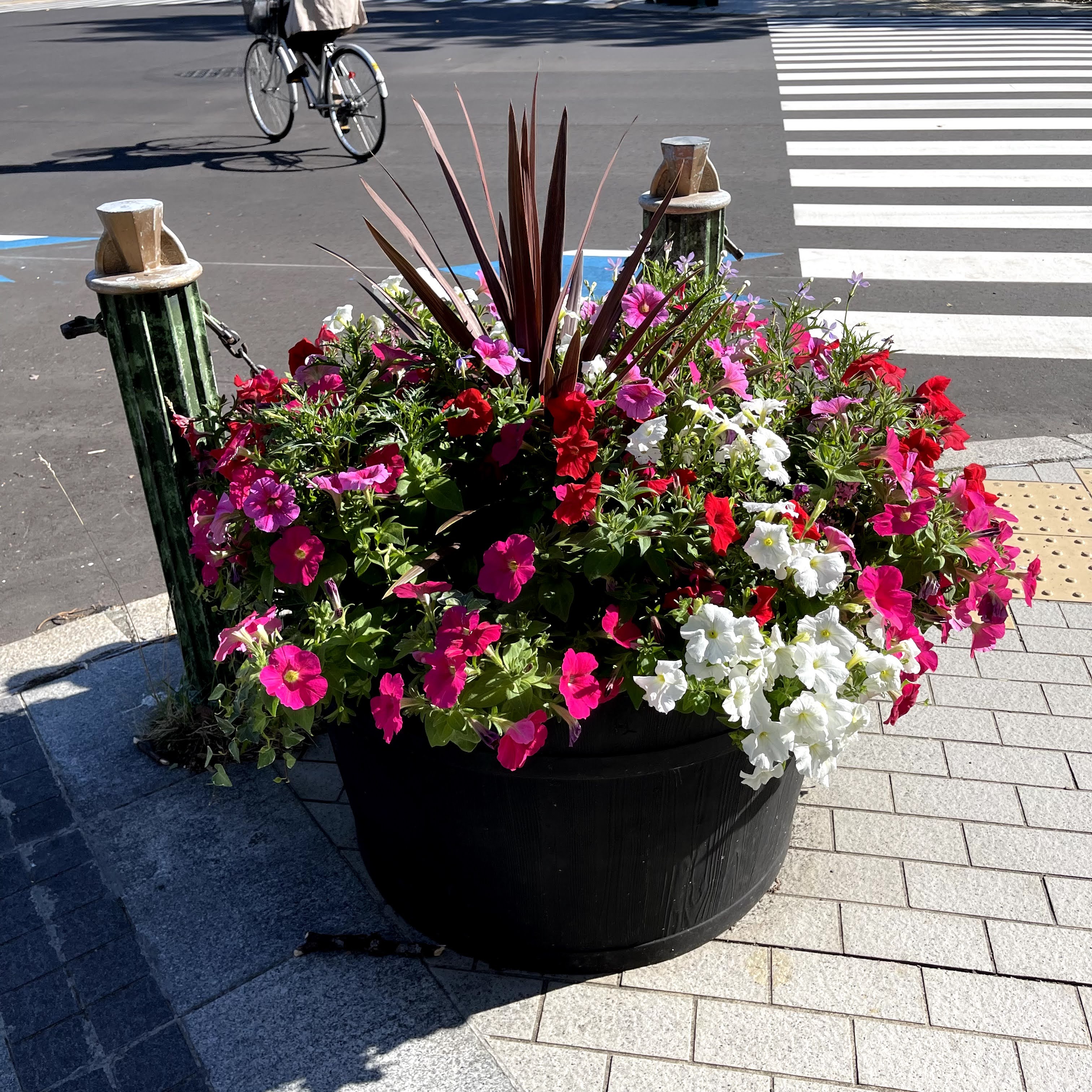 f:id:sapic:20210917210525j:plain