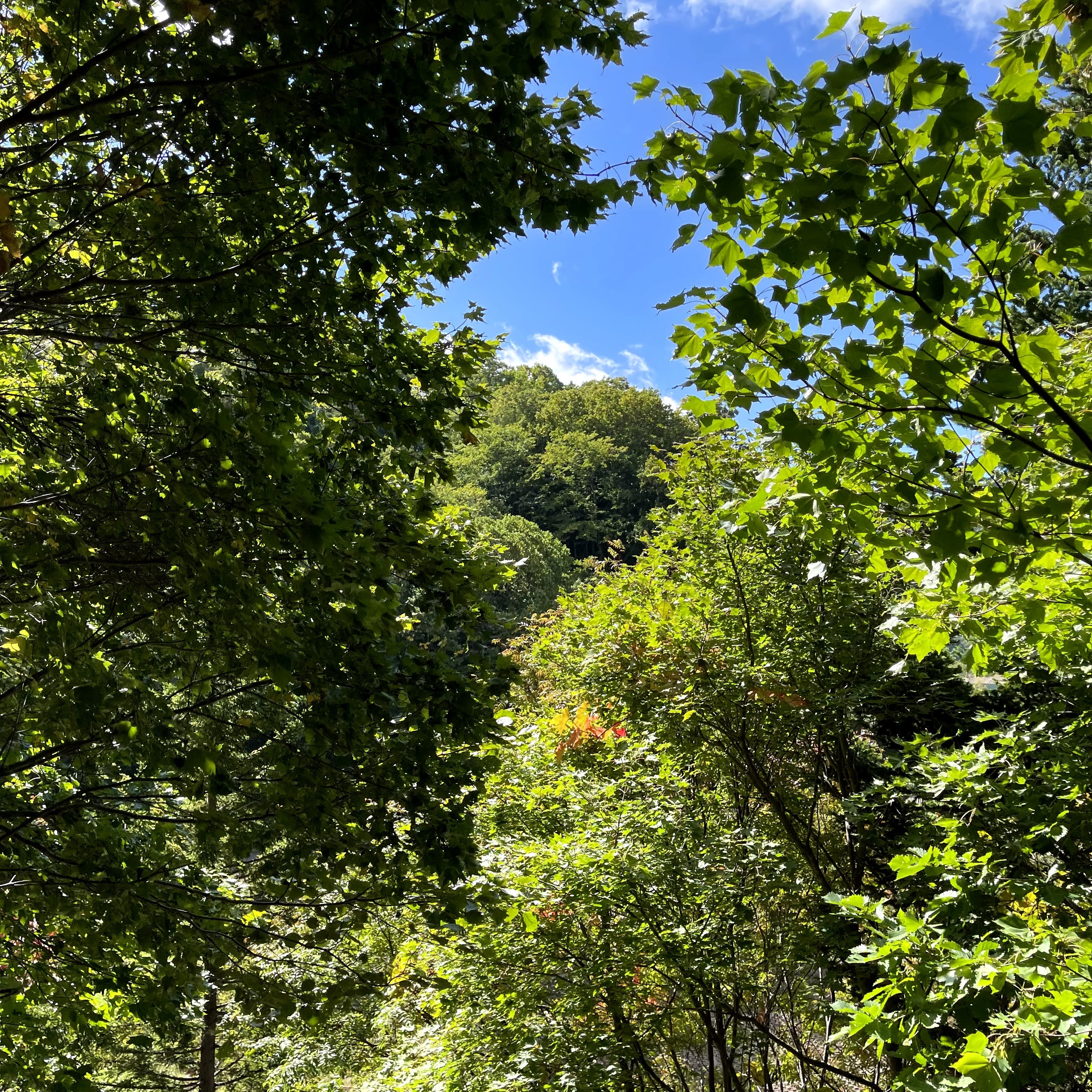 f:id:sapic:20210925221558j:plain