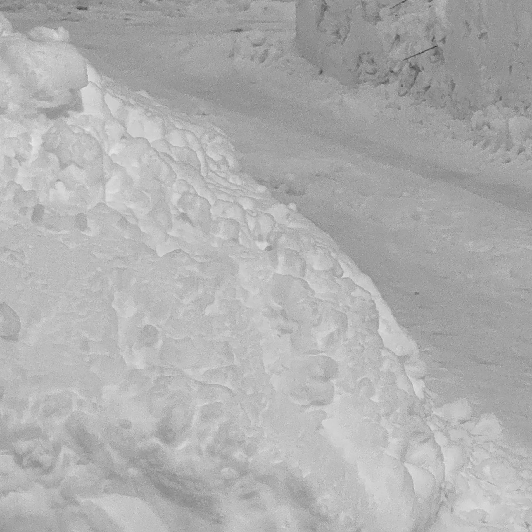 札幌市の新たな除雪方法はどうなっていくのでしょう - みんなたのしく