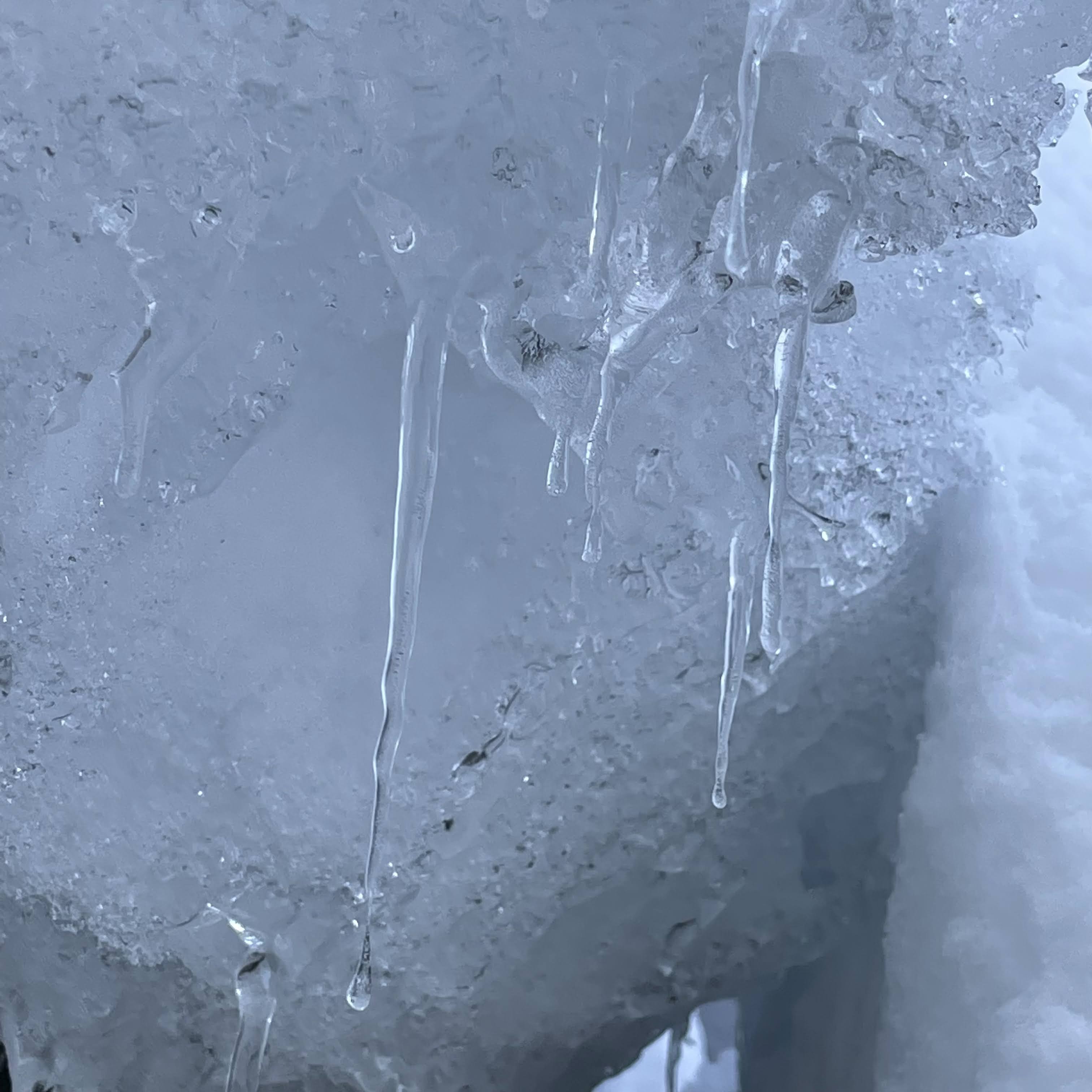 f:id:sapic:20220207205542j:plain