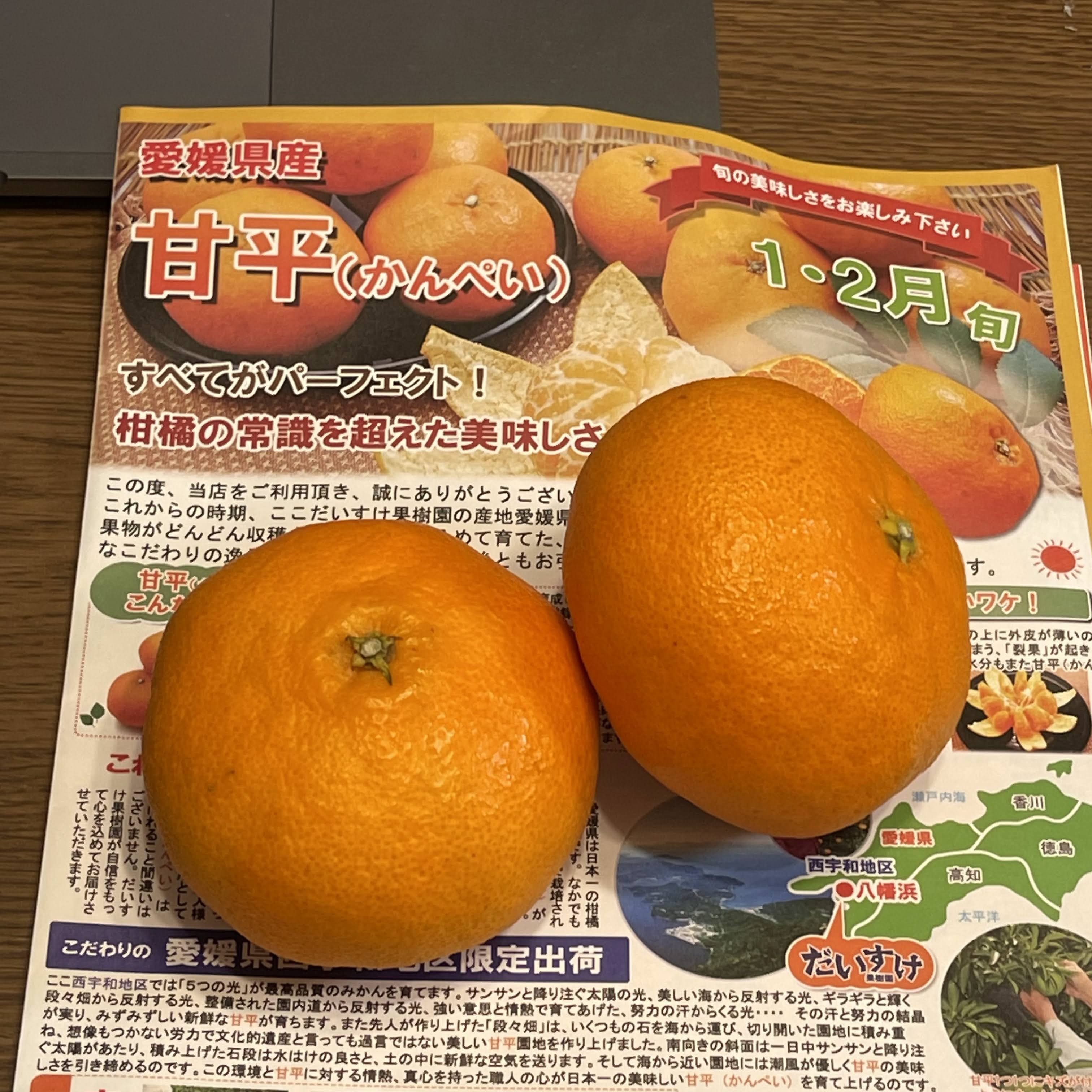 f:id:sapic:20220210221514j:plain