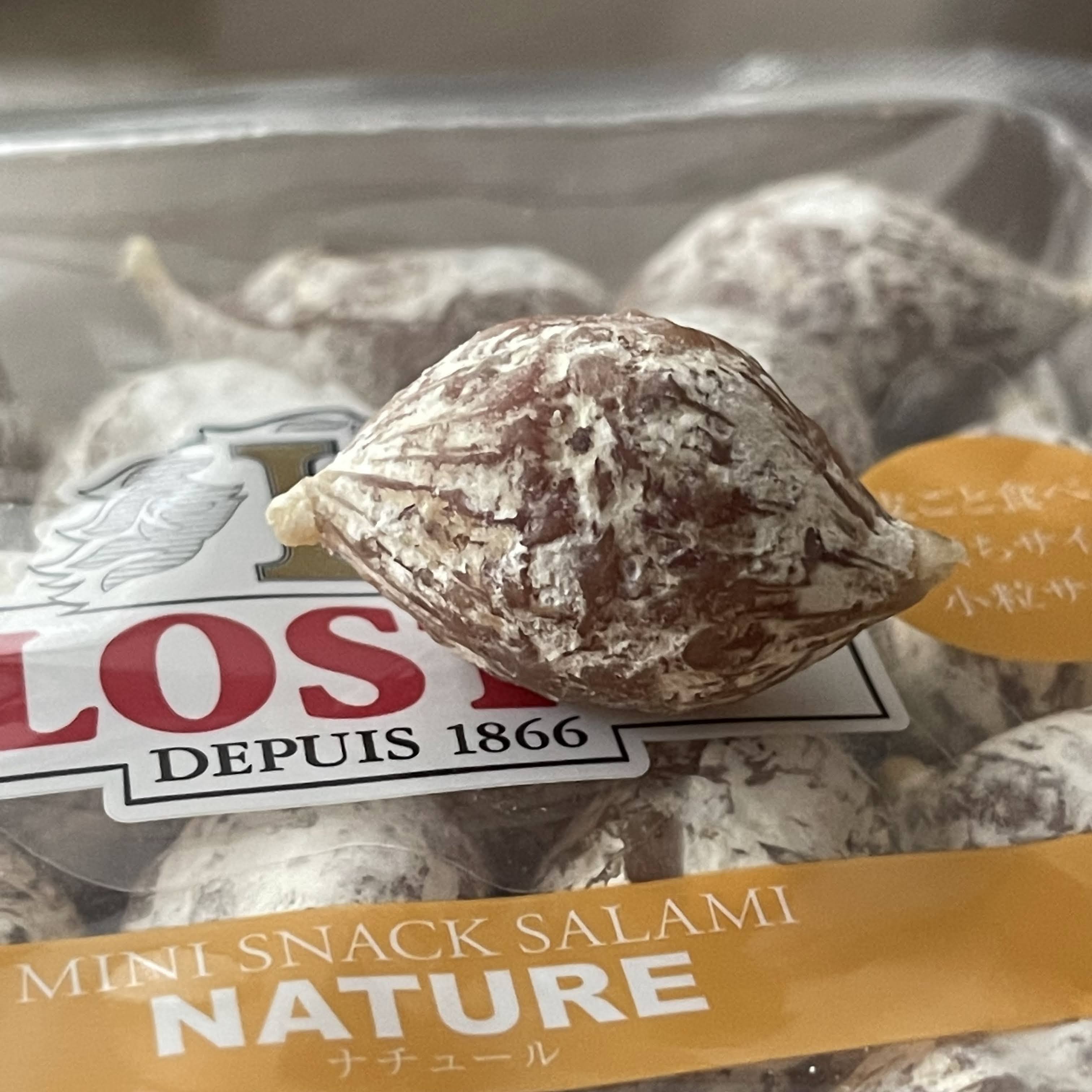 f:id:sapic:20220227161045j:plain