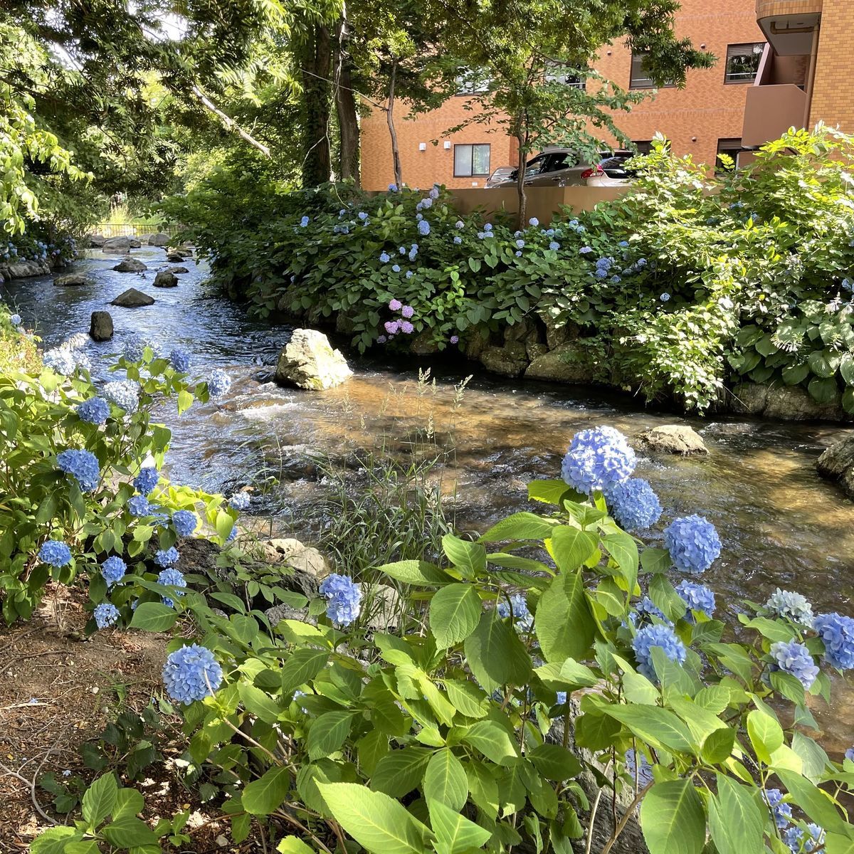 今日の札幌は湿度が低くて気持ちの良い1日でした みんなたのしくすごせたら