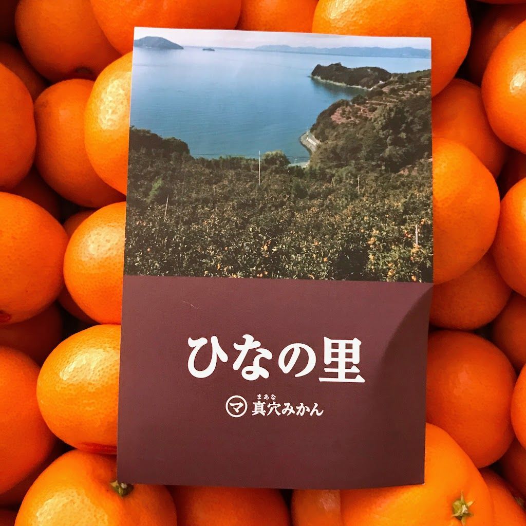 真穴みかん「ひなの里」は予想を超えた美味しさでした みんなたのしくすごせたら 真穴みかん「ひなの里」は予想を超えた美味しさでした みんなたのしくすごせたら