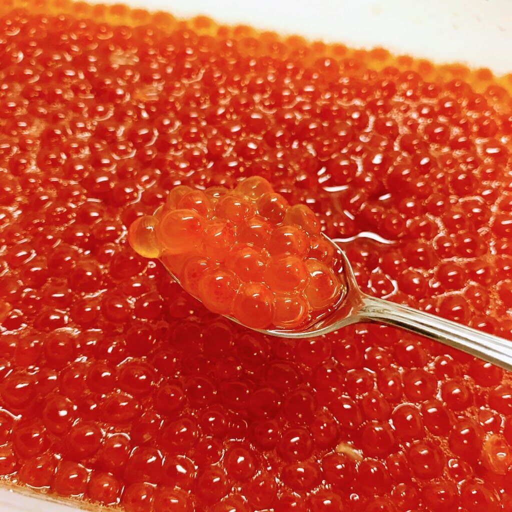 自家製いくら醤油に！生筋子 約500g入 自家製 いくら醤油漬 | すじこ・いくら | いわき 濱の名産 大川魚店