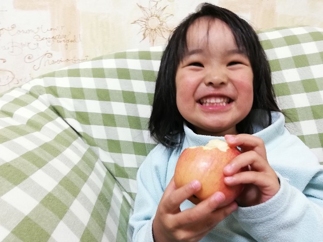 f:id:sapori-leoben:20190413203745j:image
