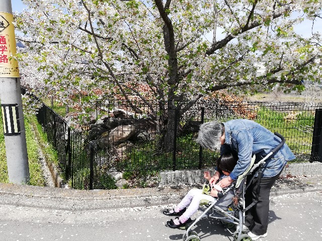 f:id:sapori-leoben:20190416022912j:image