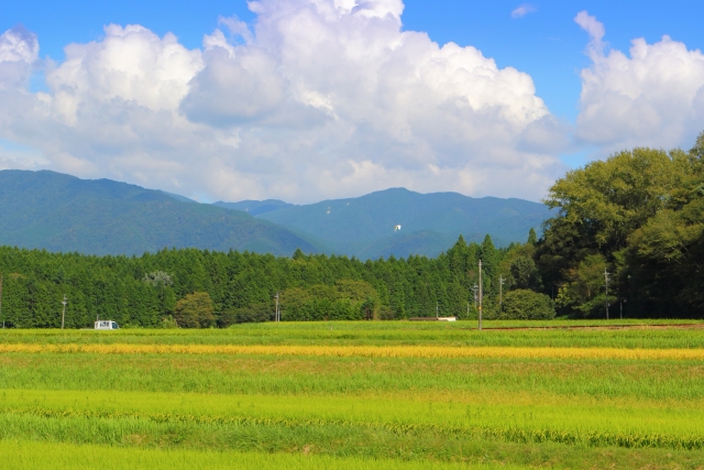 f:id:sappori28:20201031214541j:plain f:id:sappori28:20201031214541j:plain