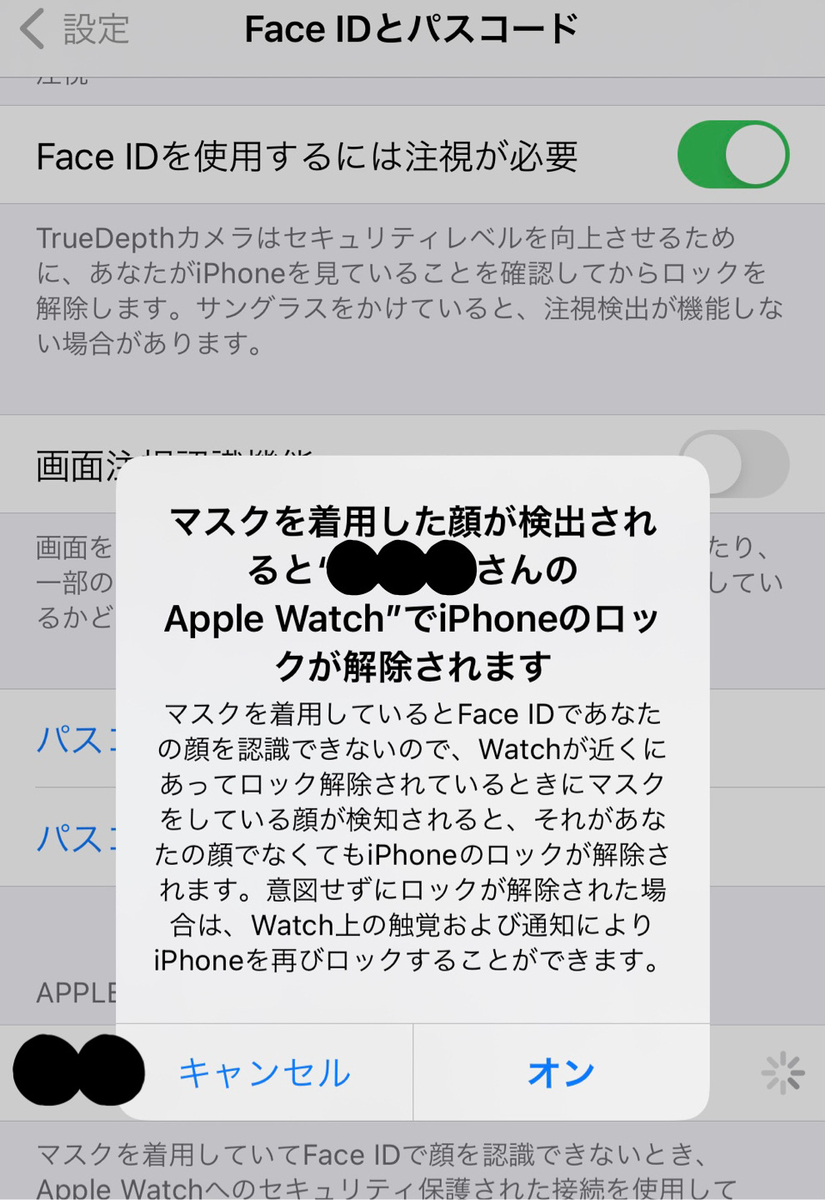 f:id:sappori28:20210505224153j:plain