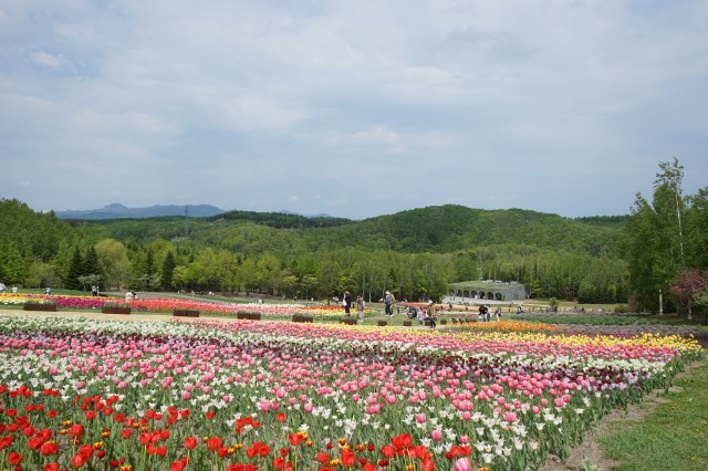 f:id:sapporo-toshiyuki:20220522162344j:image f:id:sapporo-toshiyuki:20220522162344j:image