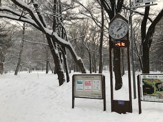 f:id:sapporo39:20190224140133j:plain