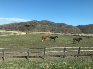 f:id:sapporo39:20190421142523j:plain