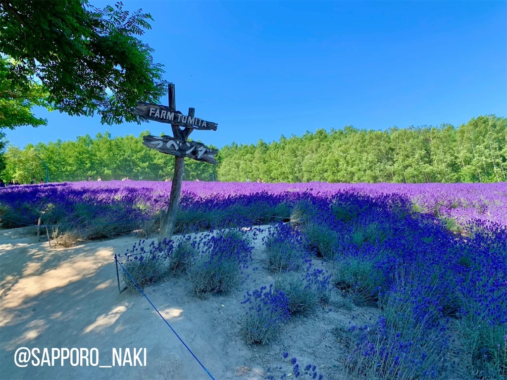 f:id:sapporo_naki:20210523135238j:image f:id:sapporo_naki:20210523135238j:image