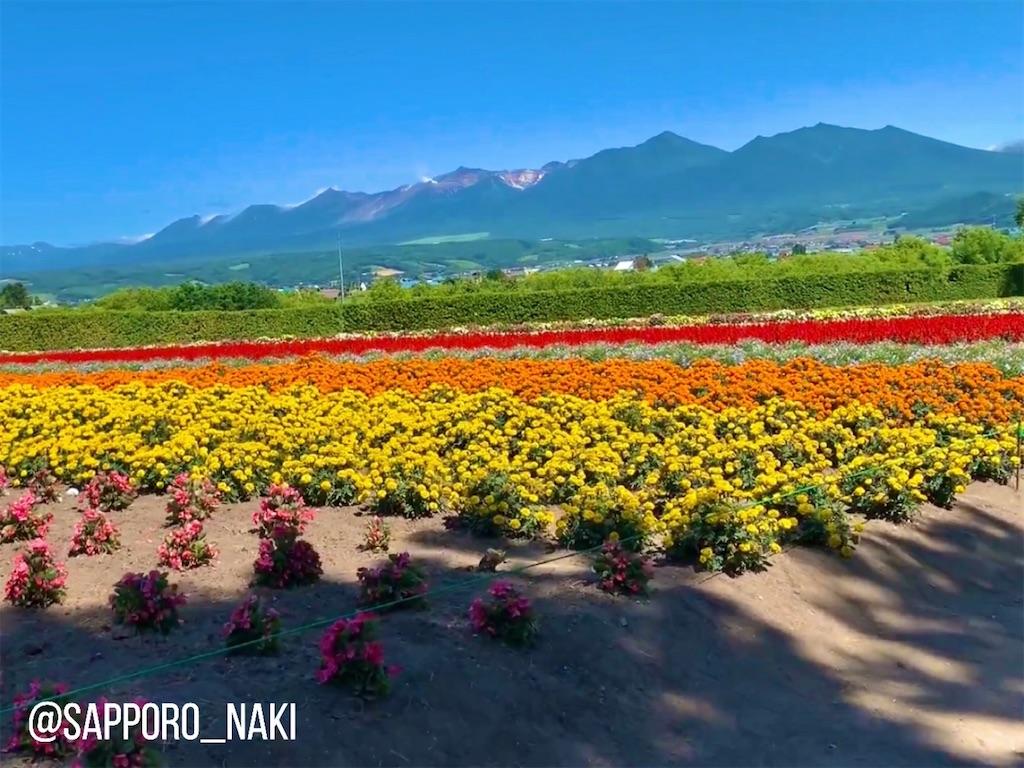 f:id:sapporo_naki:20210523135301j:image f:id:sapporo_naki:20210523135301j:image