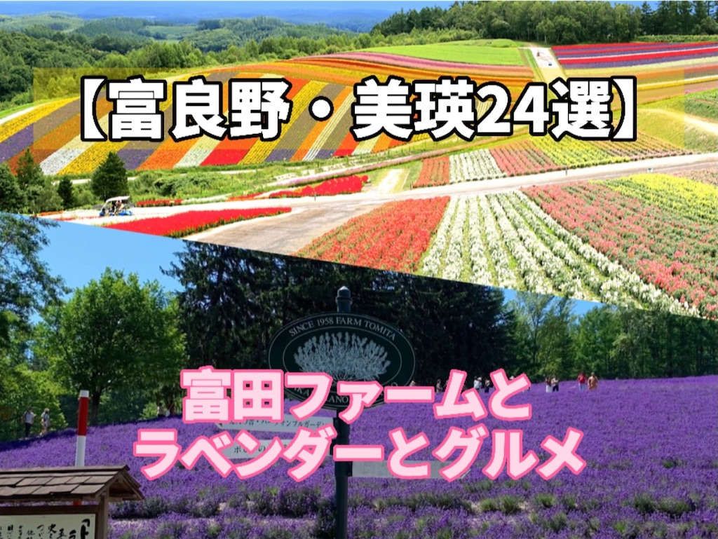 f:id:sapporo_naki:20210610122909j:image f:id:sapporo_naki:20210610122909j:image