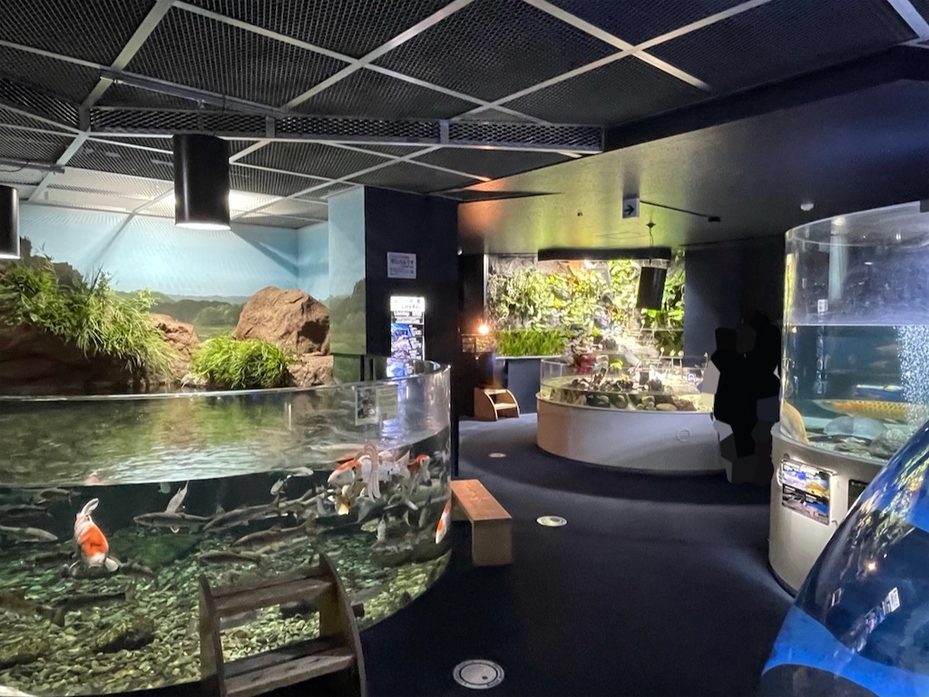 f:id:sapporo_naki:20211114163405j:image