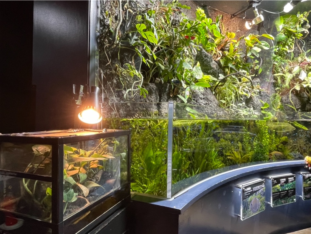 f:id:sapporo_naki:20211114163423j:image