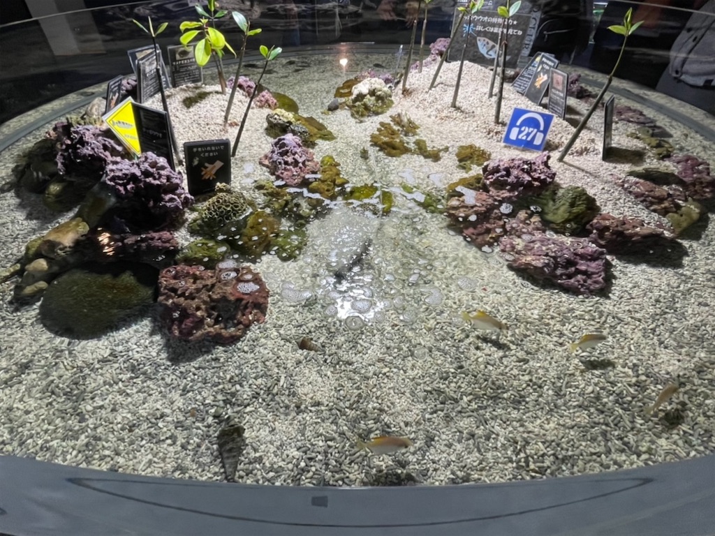 f:id:sapporo_naki:20211114163445j:image