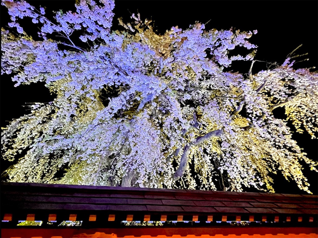 f:id:sapporo_naki:20230426225736j:image f:id:sapporo_naki:20230426225736j:image