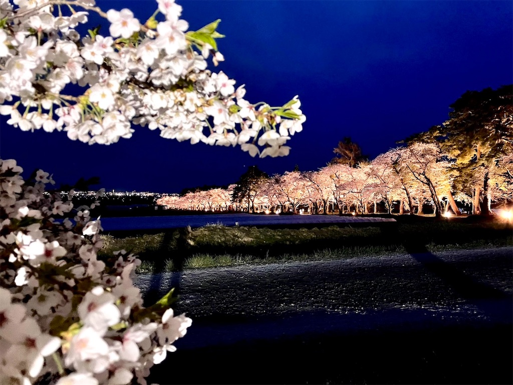 f:id:sapporo_naki:20230426225748j:image f:id:sapporo_naki:20230426225748j:image